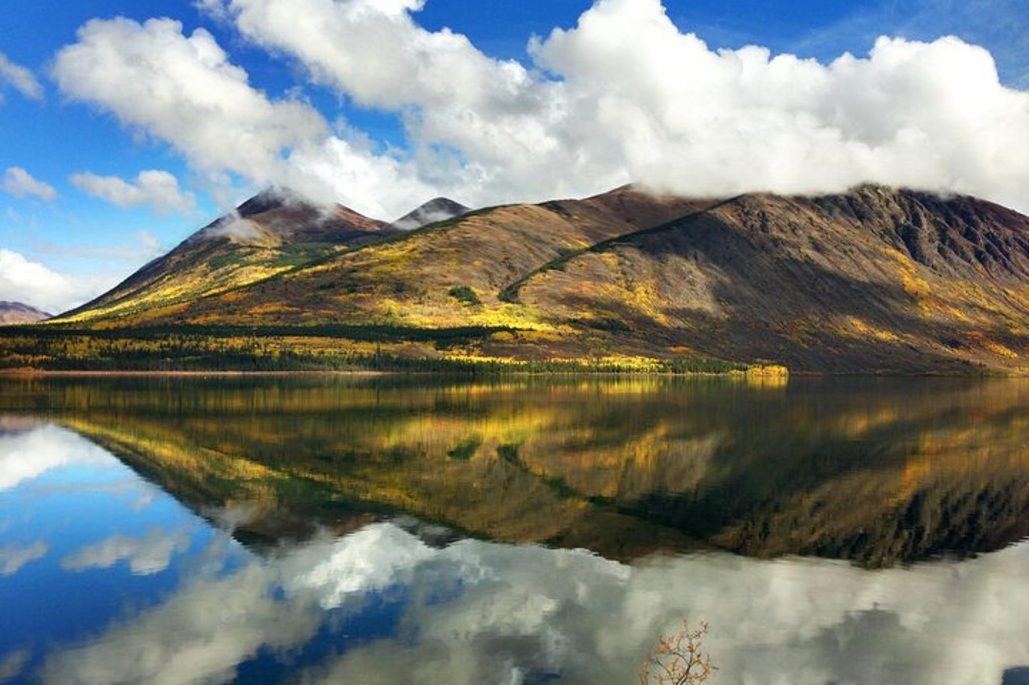 Skagway Yukon Suspension Bridge Tour 5 hr - Image 6