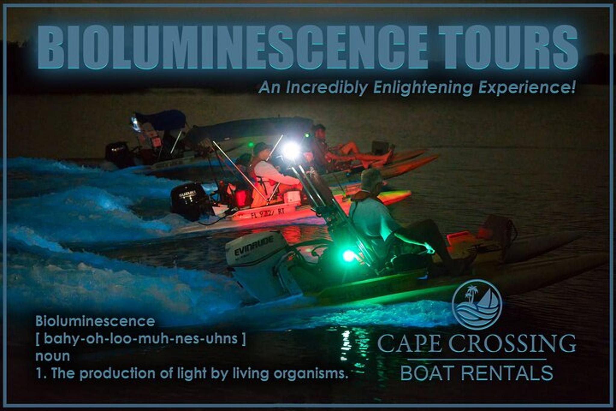 Indian River Lagoon Bioluminescence Craigcat Tour 2 hr - Image 5