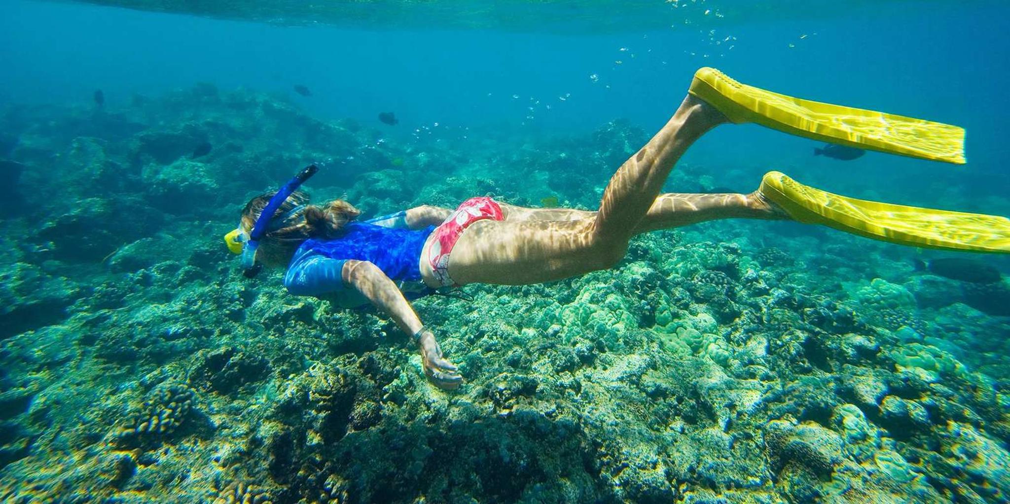 Florida Keys Kayak and Snorkel Adventure - Image 6