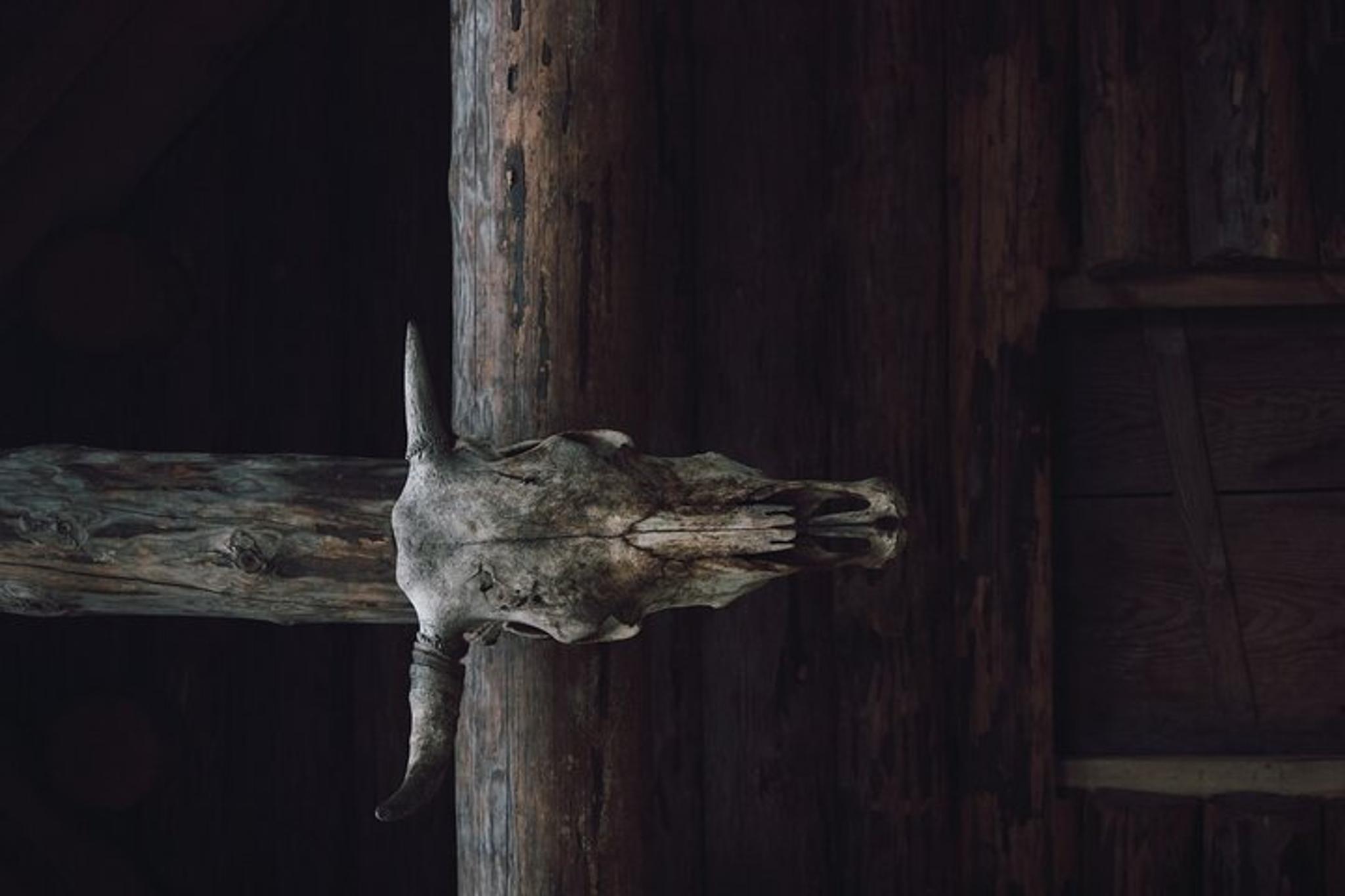 Miami Escape Game: Odin's Hidden Temple - Image 1