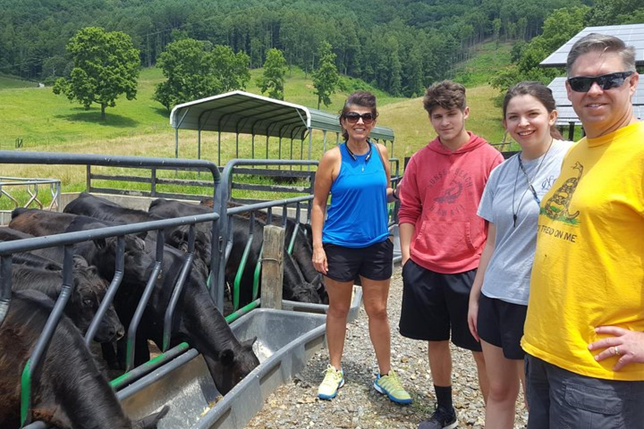 Cattle Ranch Walking Tour in Hayesville - Image 2