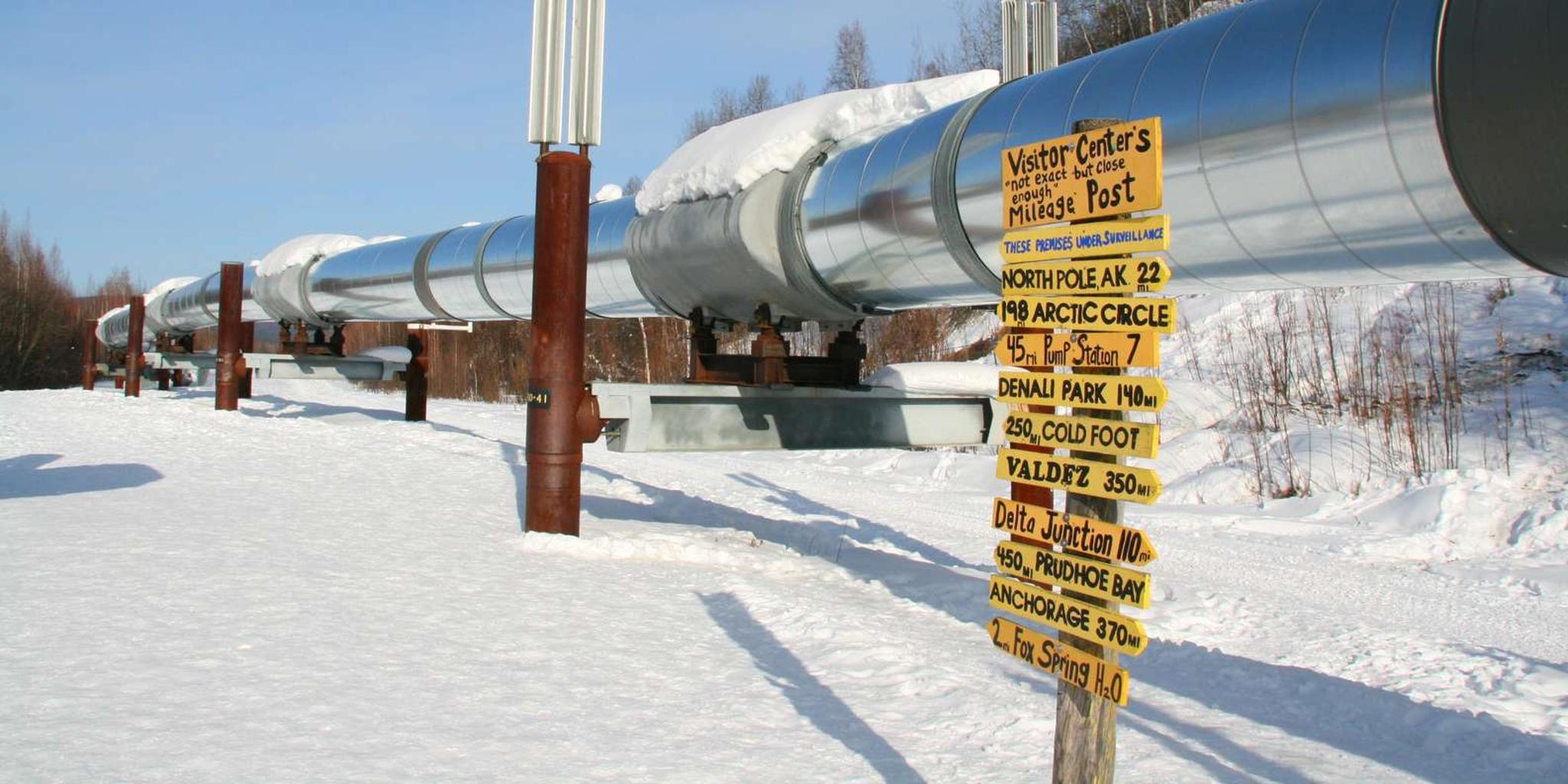 Fairbanks Winter City Tour and Dog Sledding Adventure