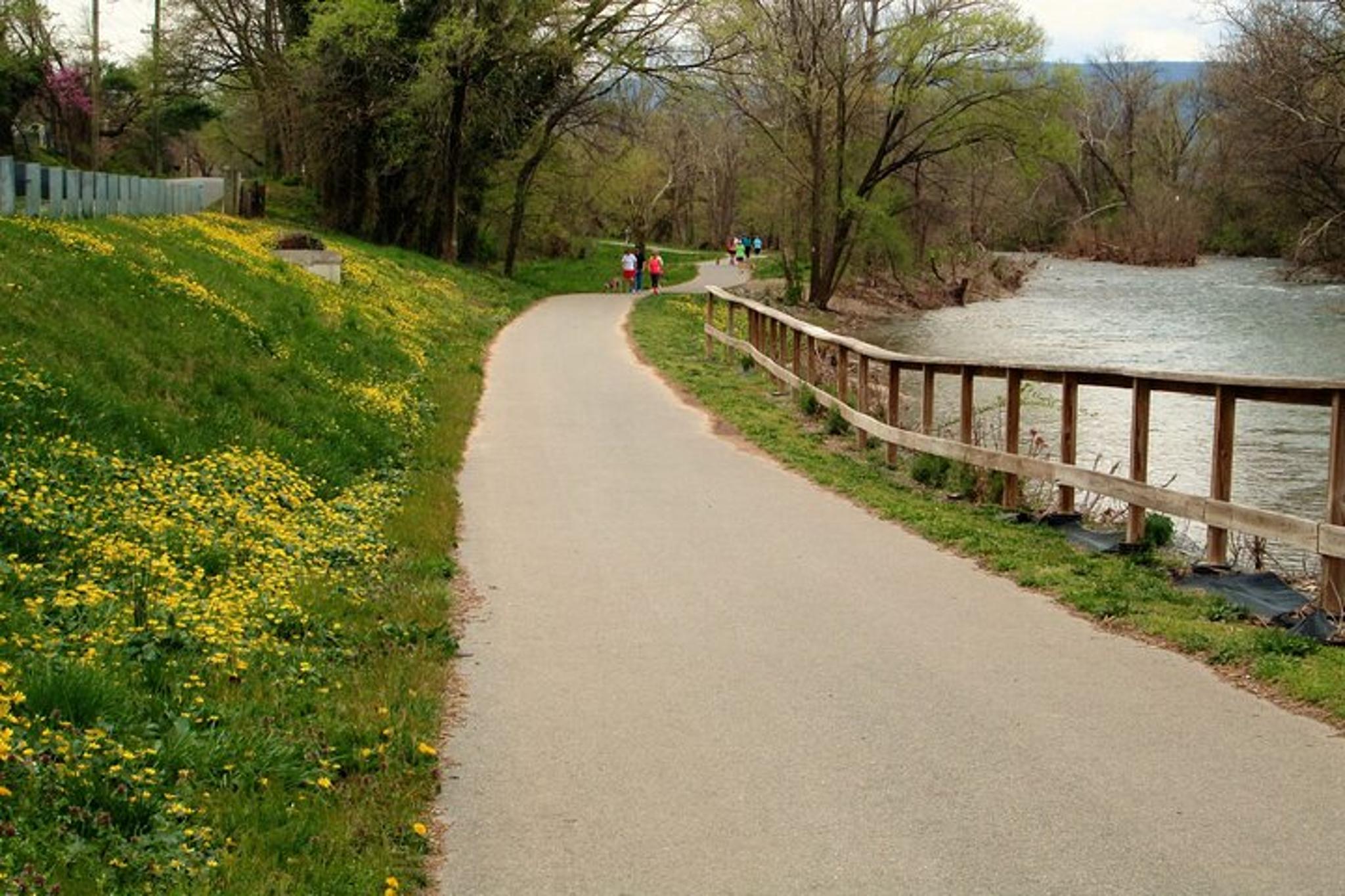 Roanoke River Greenway Bike Rental - Image 3