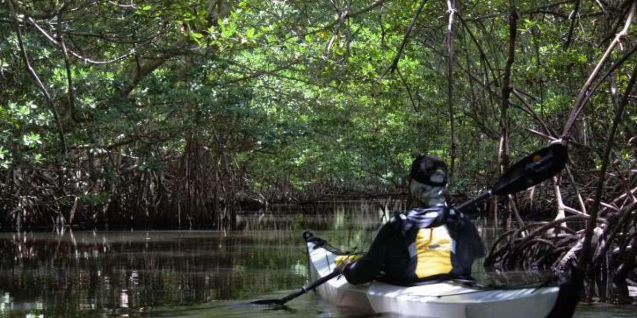 Miami Oleta River State Park Eco Paddle Tour 2 hr - Image 3