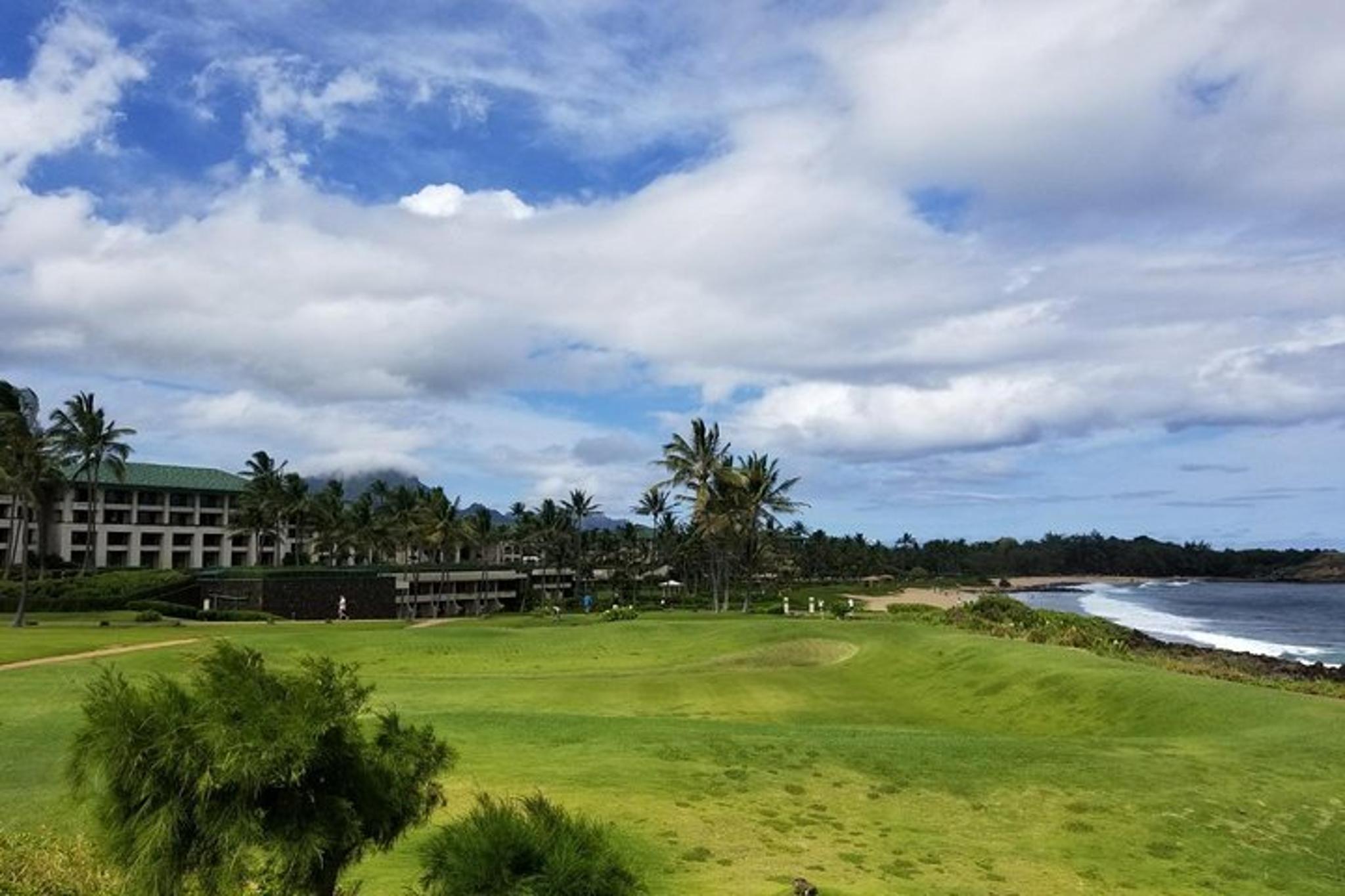 Kauai Private Tour: Waimea Canyon and Southside - Image 4