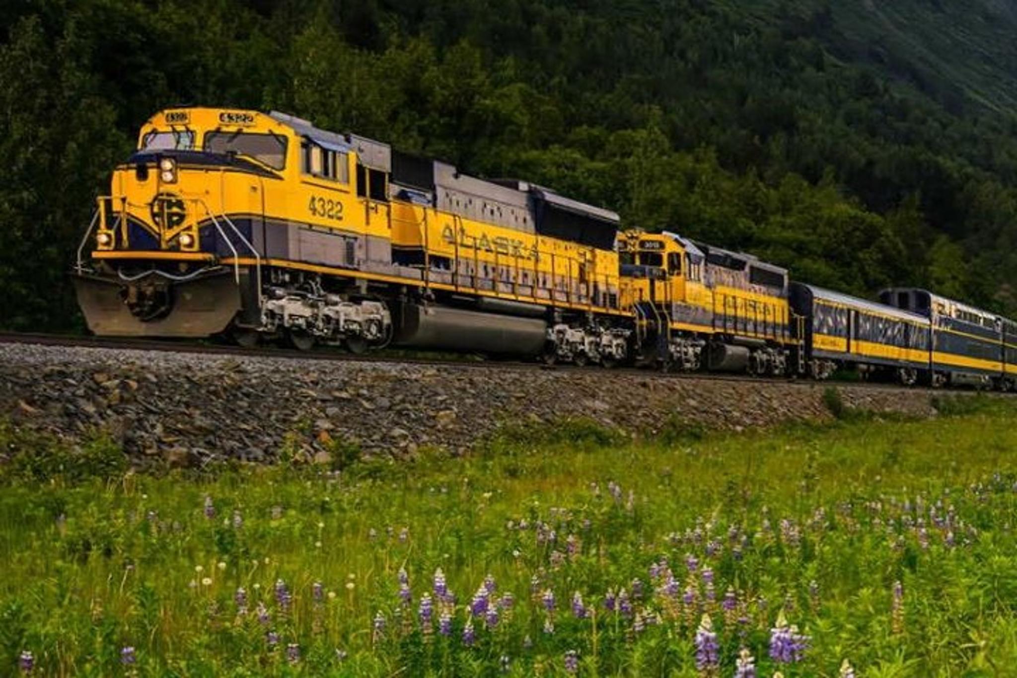 Denali to Anchorage Train Journey - Image 5