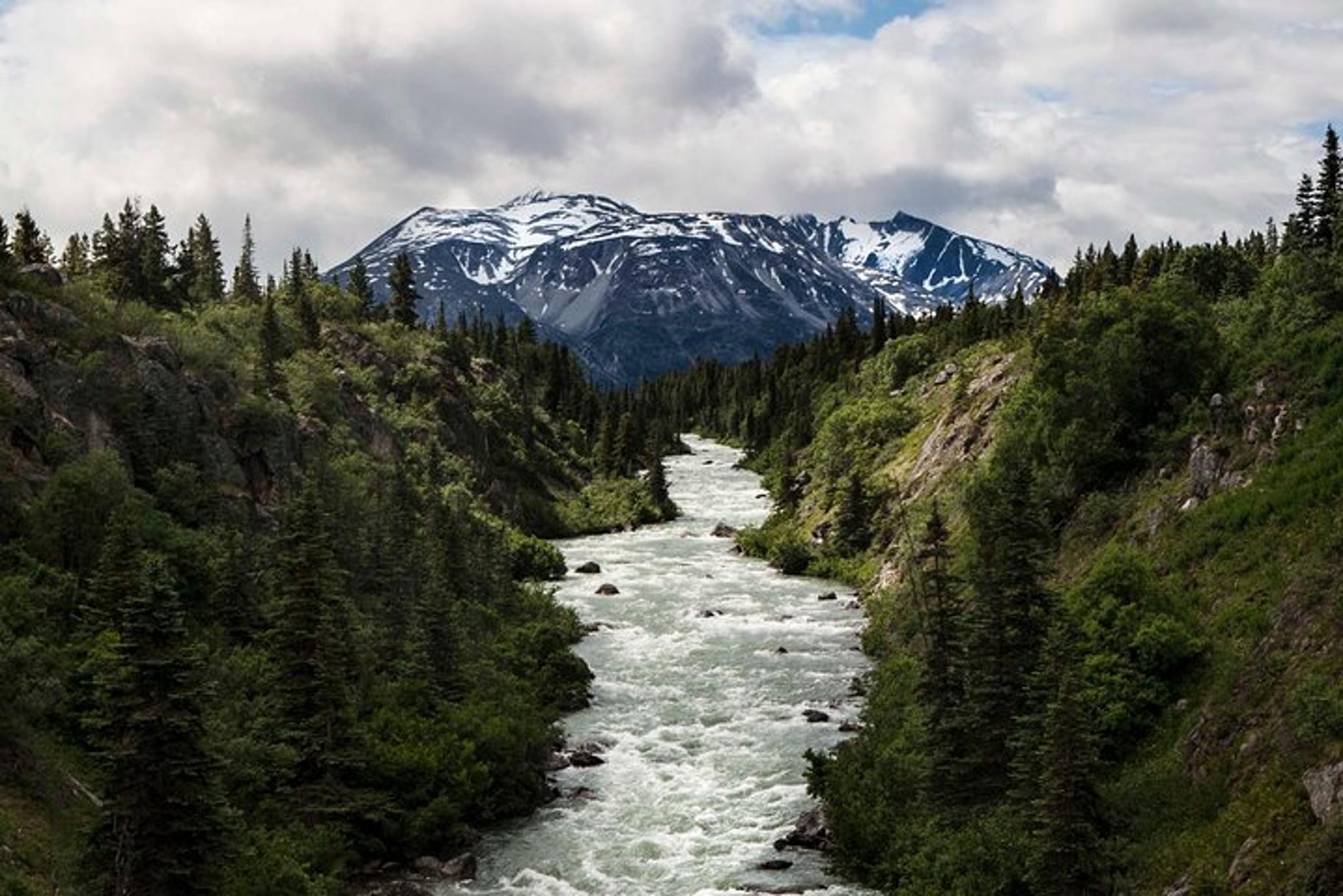 Skagway Yukon Suspension Bridge Tour - Image 4