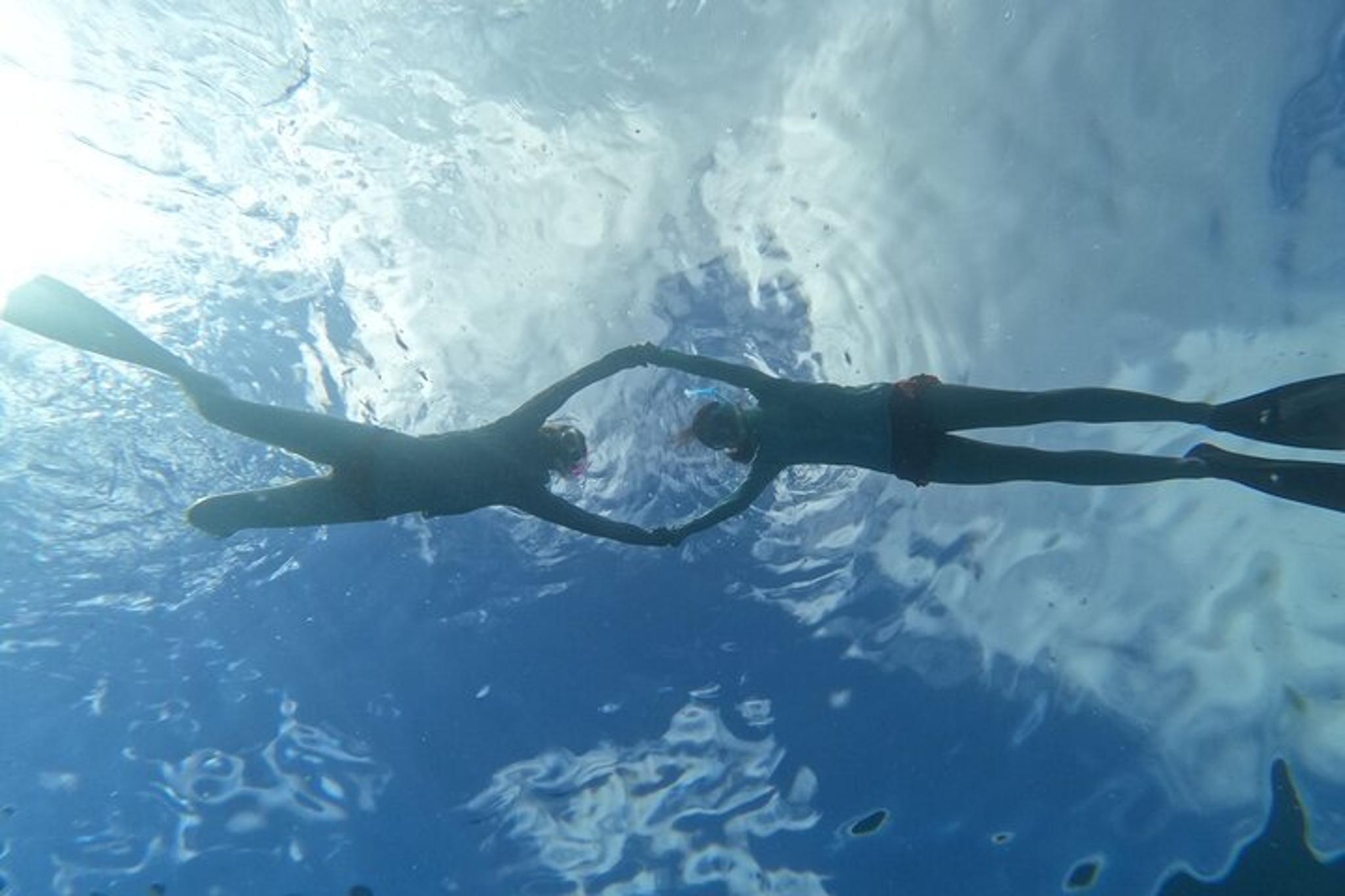 Waikiki Snorkeling Tour with Sea Turtles - Image 5