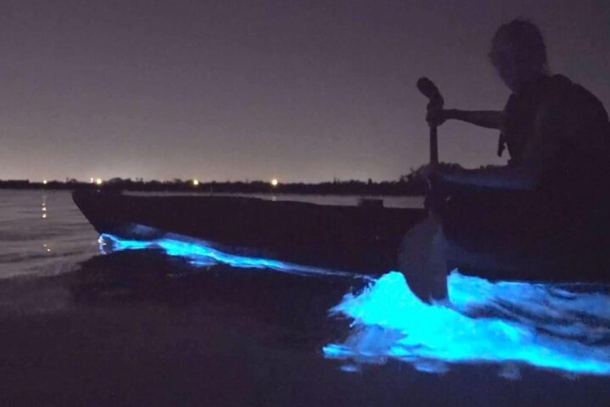 Orlando Bioluminescence Kayak Tour