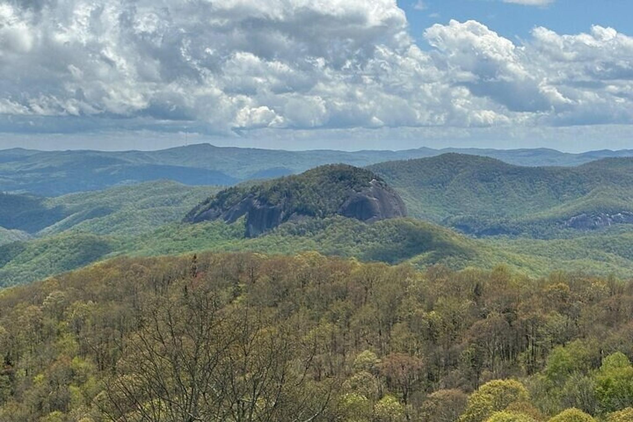 Asheville Rainforest and Waterfall Tour - Image 6