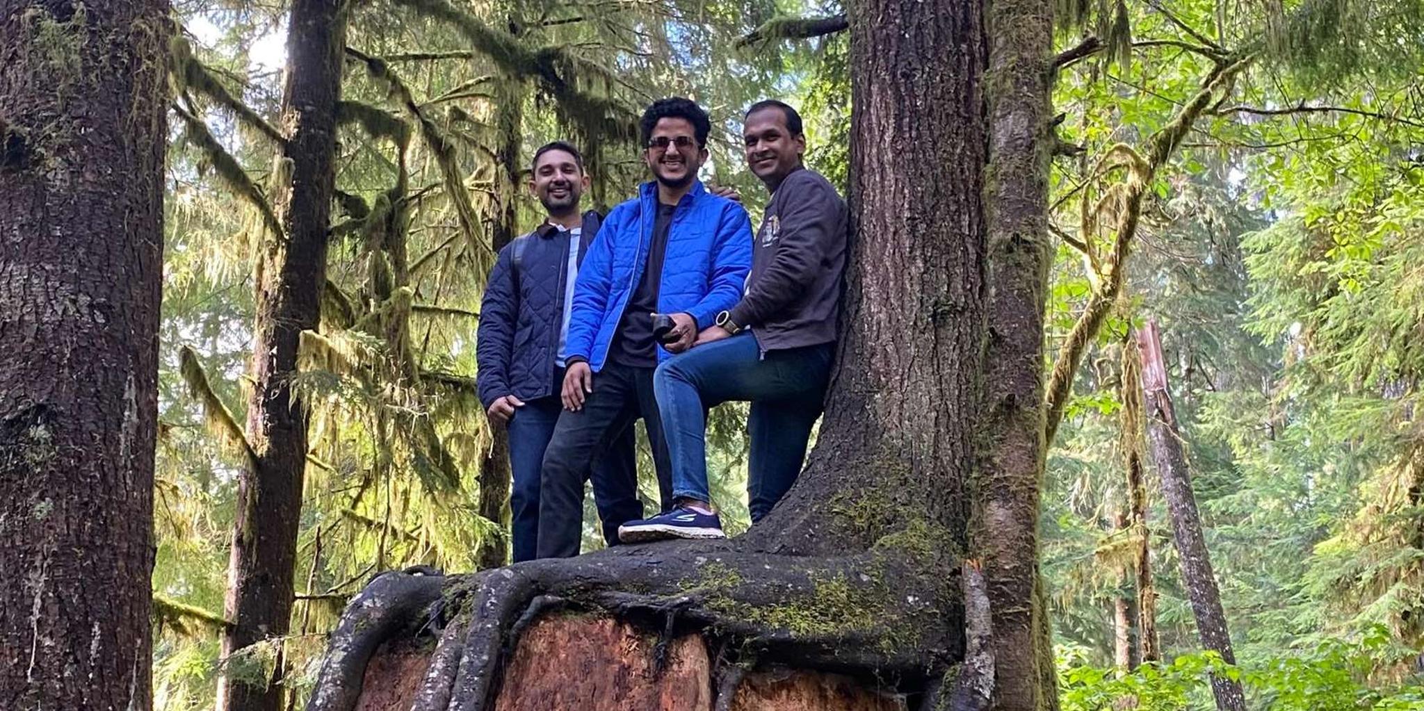 Seattle Olympic National Park Rainforest Tour - Image 4