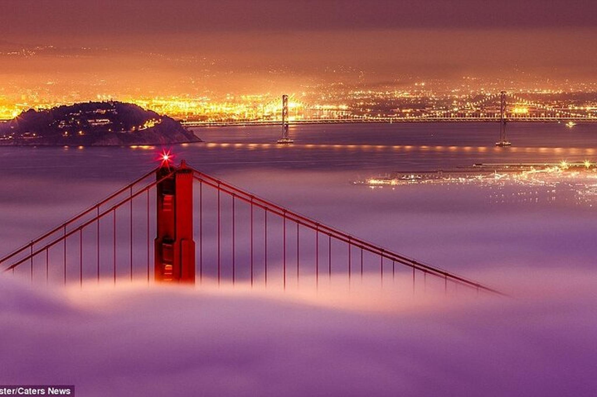 San Francisco City Sightseeing Tour with Airport Pickup - Image 6