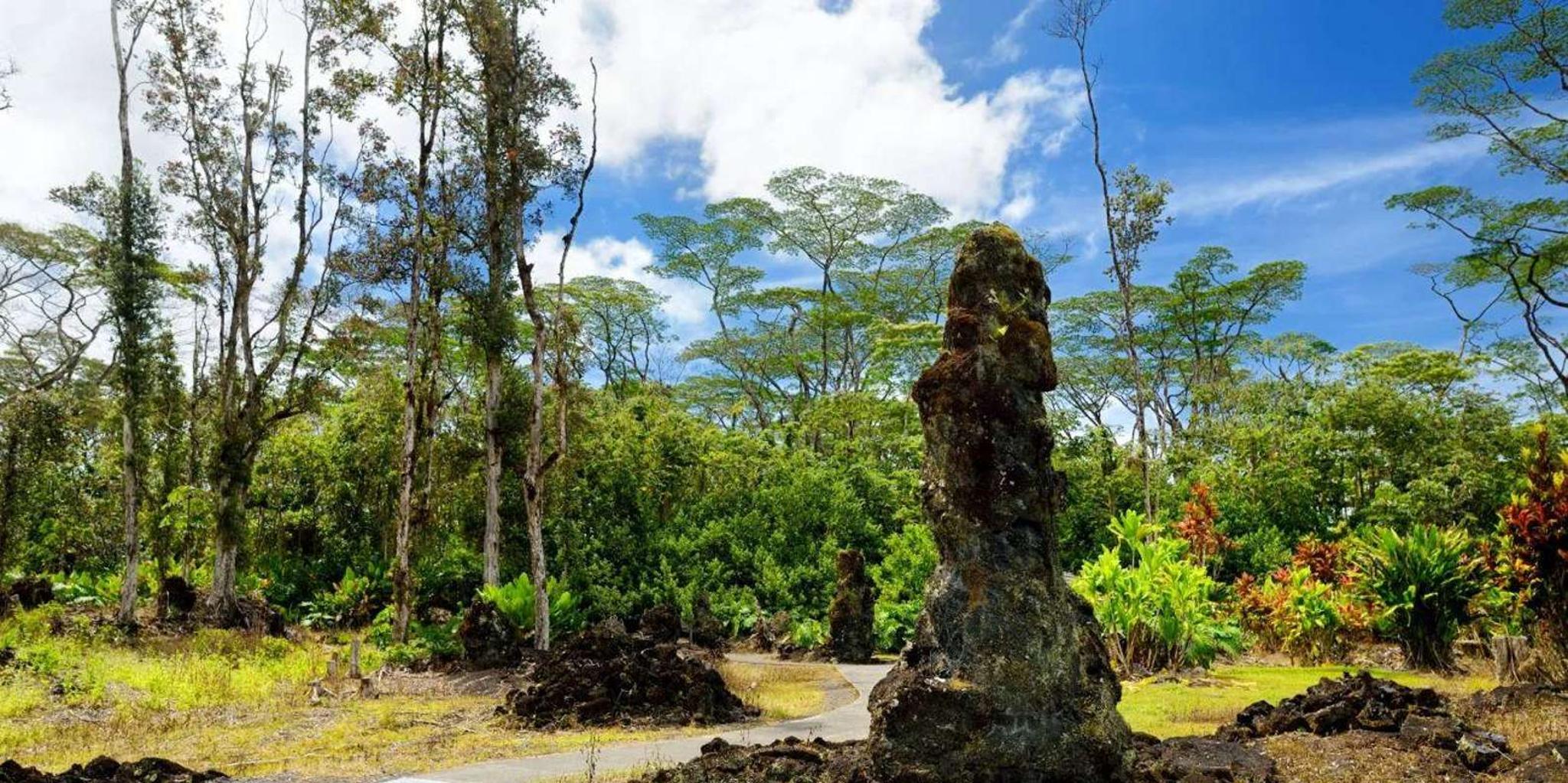 Hilo Volcano Safari Tour with Lava Caves