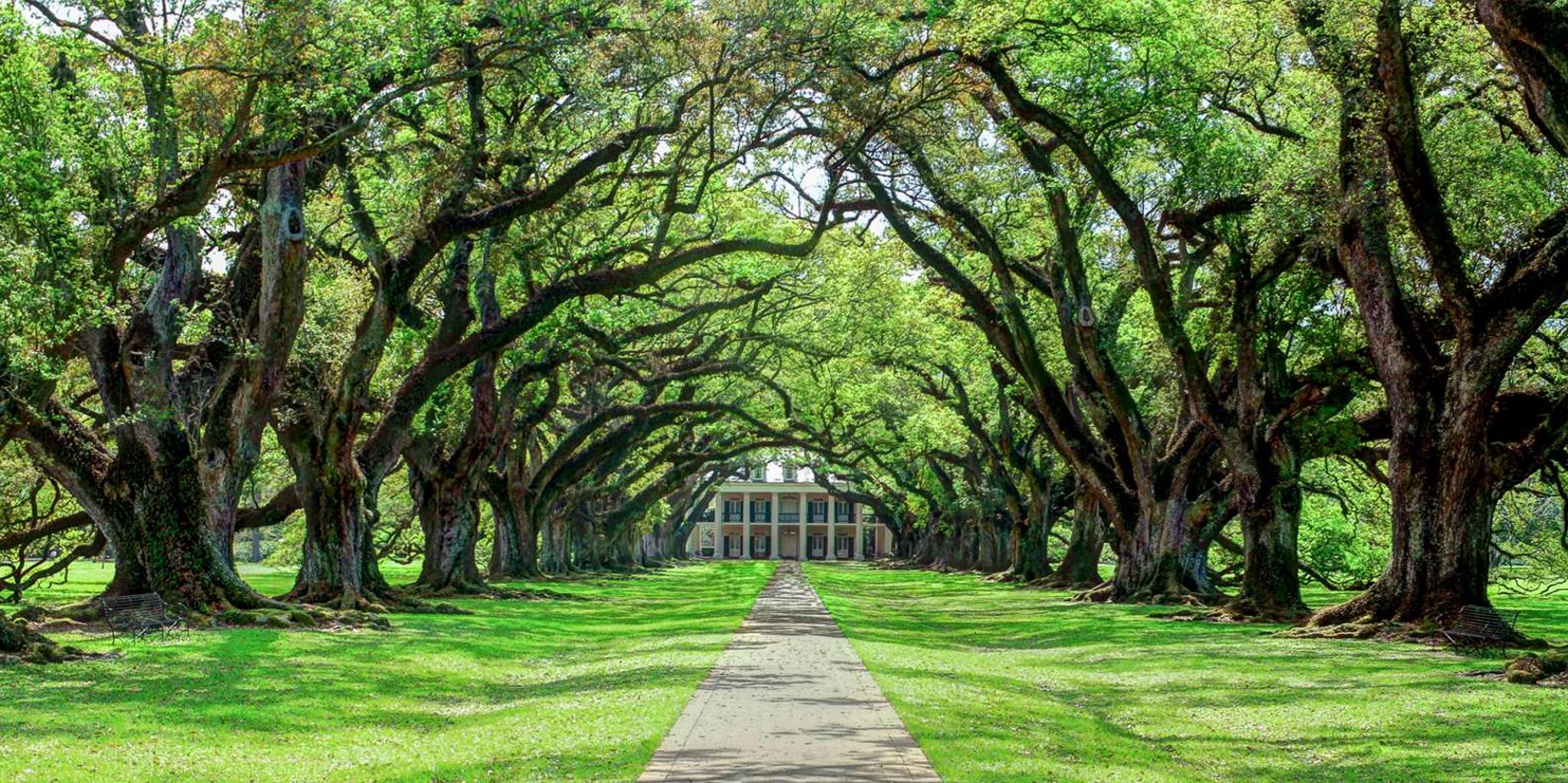 New Orleans Oak Alley Plantation Tour - Image 3