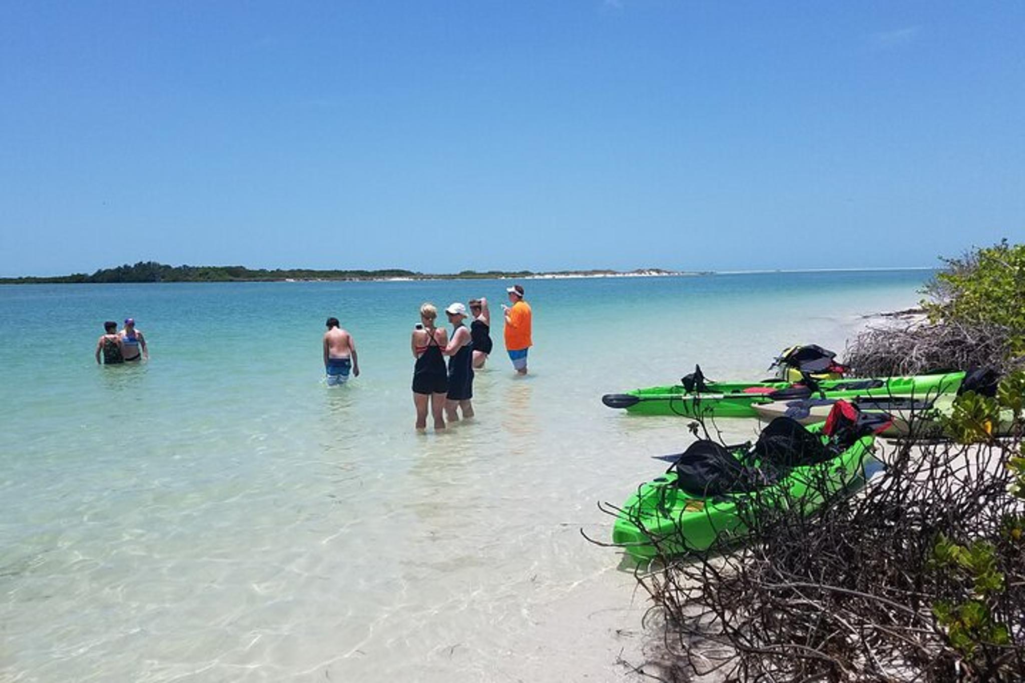 Tampa Bay Kayak Tour of Shell Key Preserve - Image 2