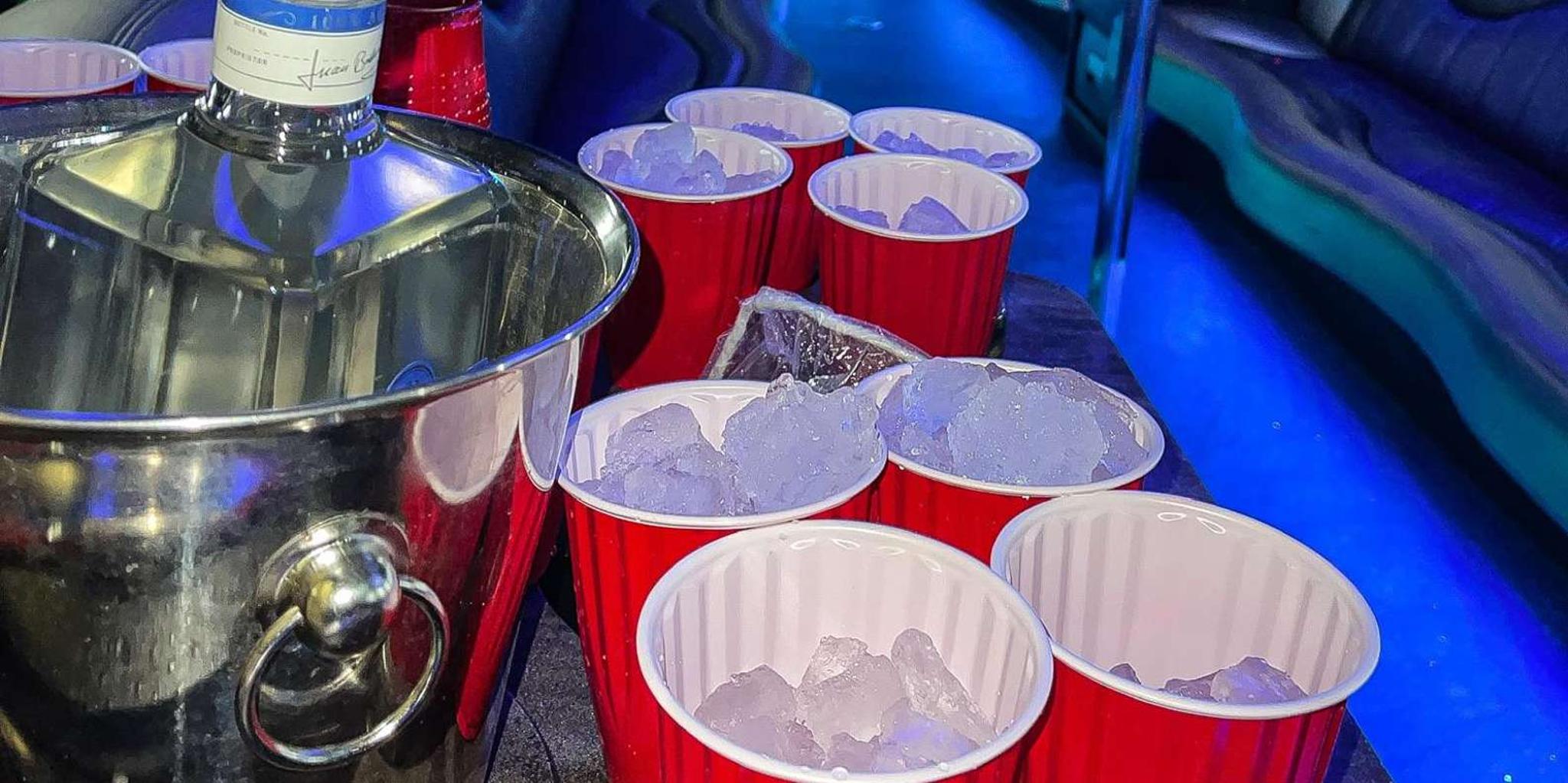 Las Vegas EDM Pool Crawl with Party Bus - Image 2