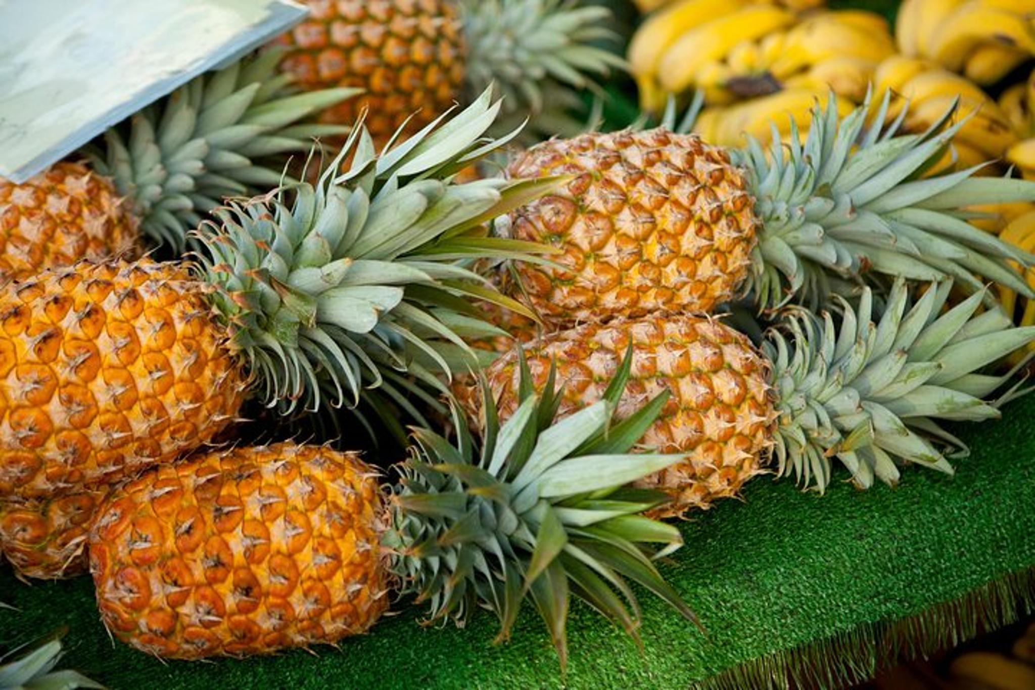 O'ahu Private Tour with Local Expert 9 hr - Image 5