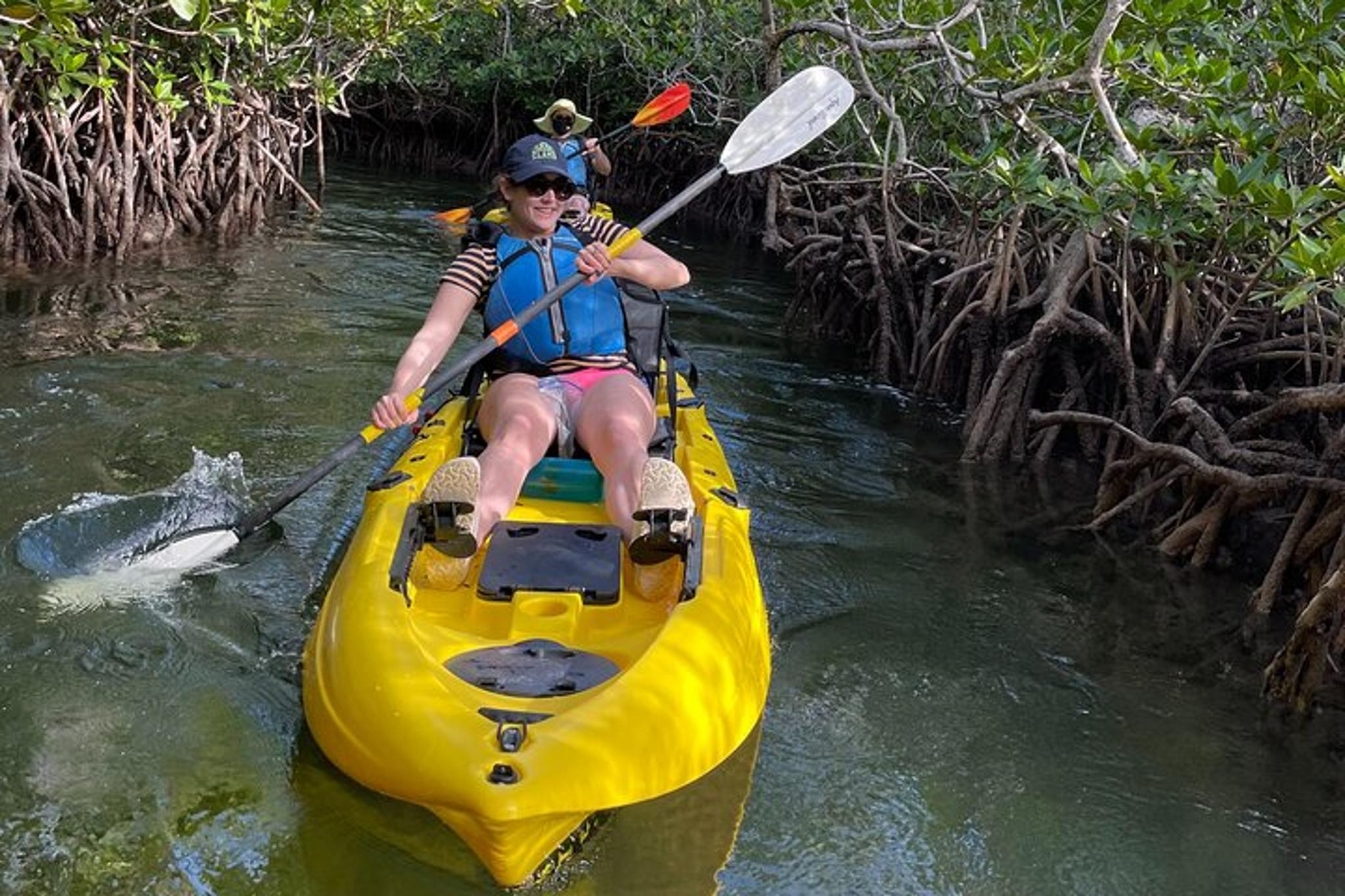 Key Largo Mangrove Tunnel Kayak Adventure - Image 6