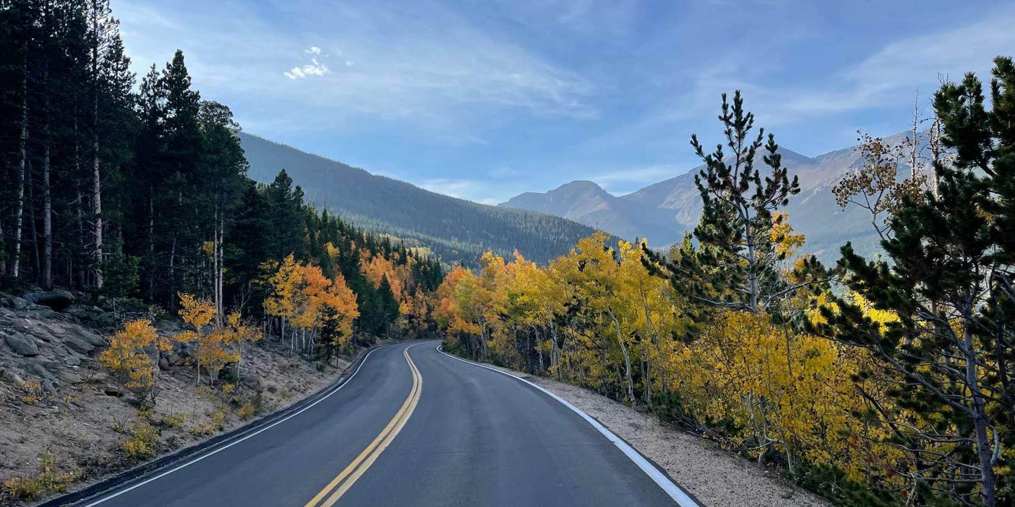 Estes Park Elk Rut Guided Tour 2 hr - Image 4