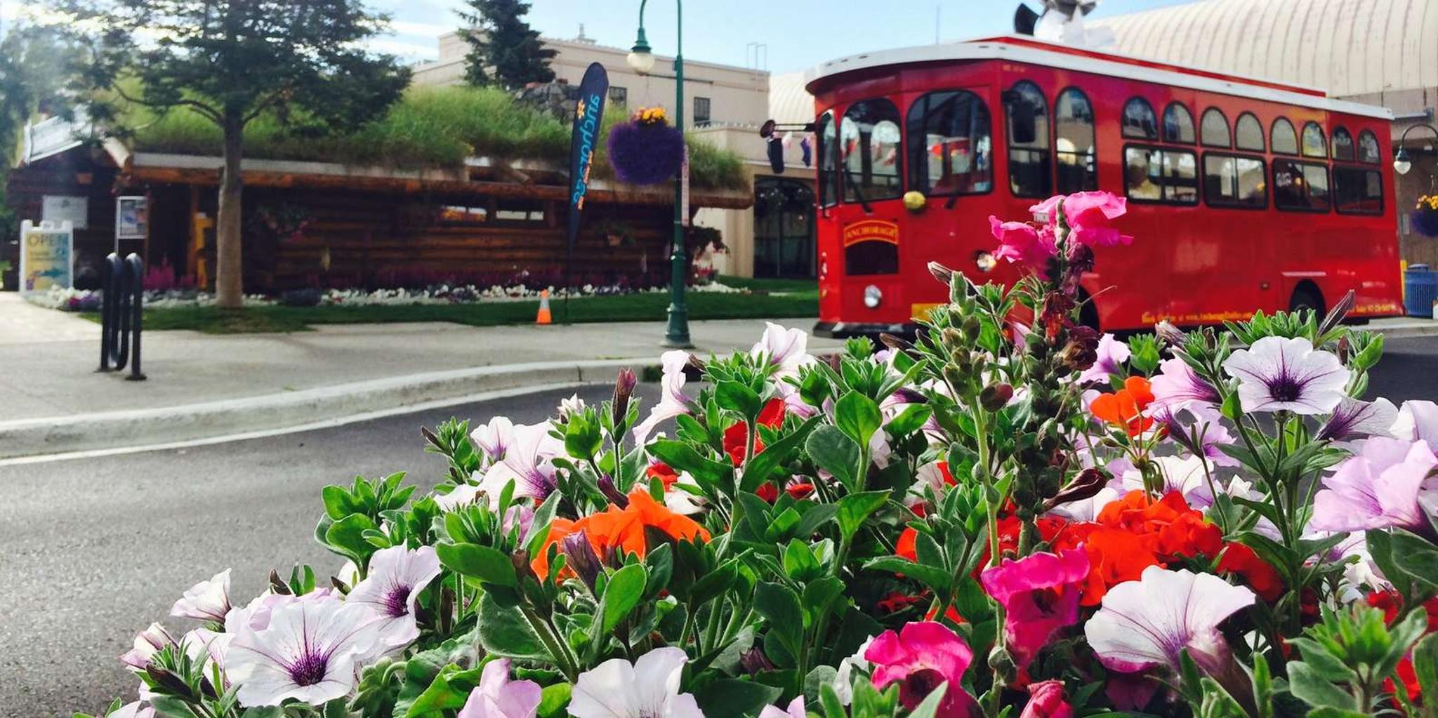 Anchorage Trolley Tour - Image 6