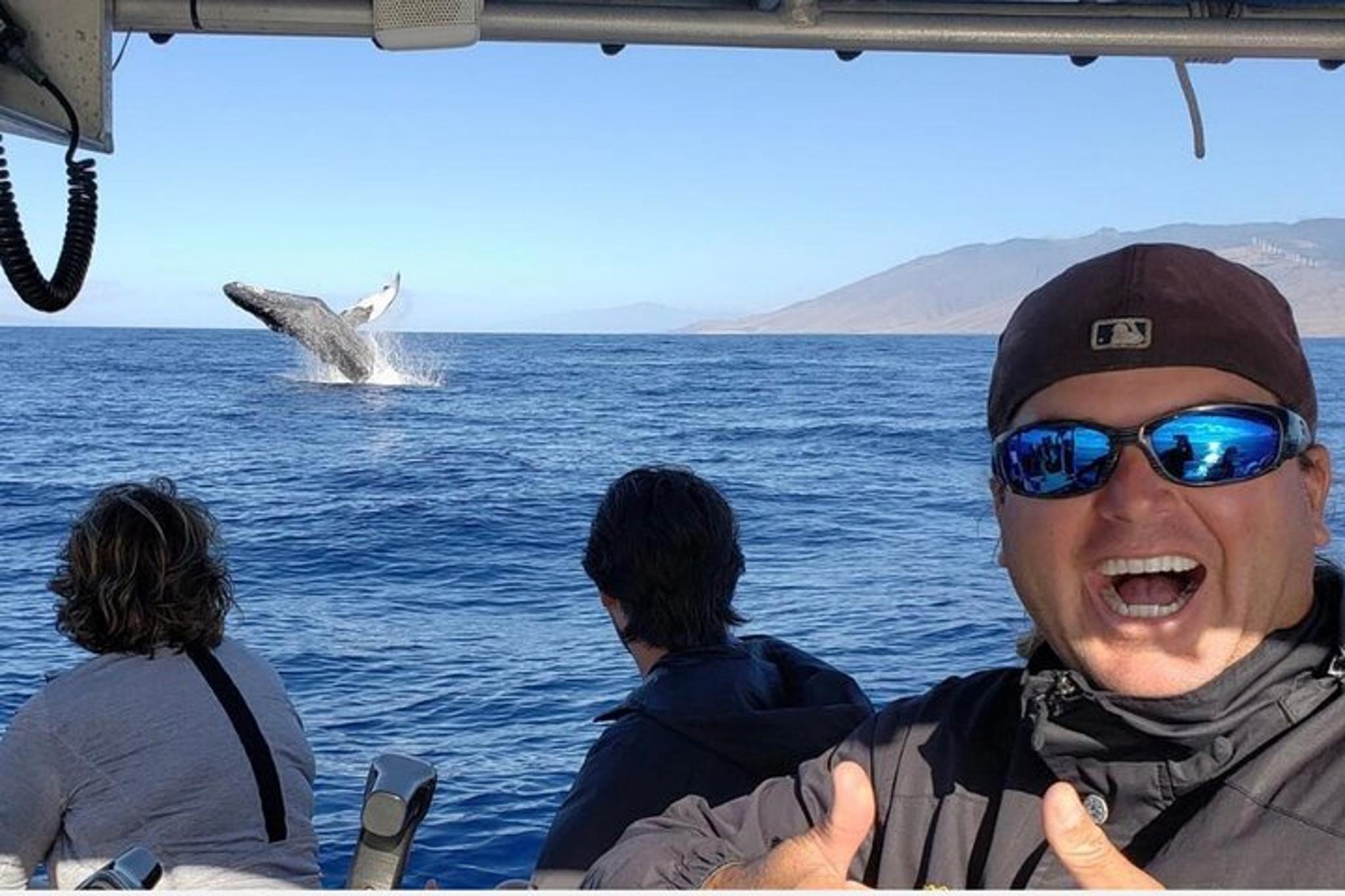 Maui Whale Watching Tour 1.5 hr - Image 3