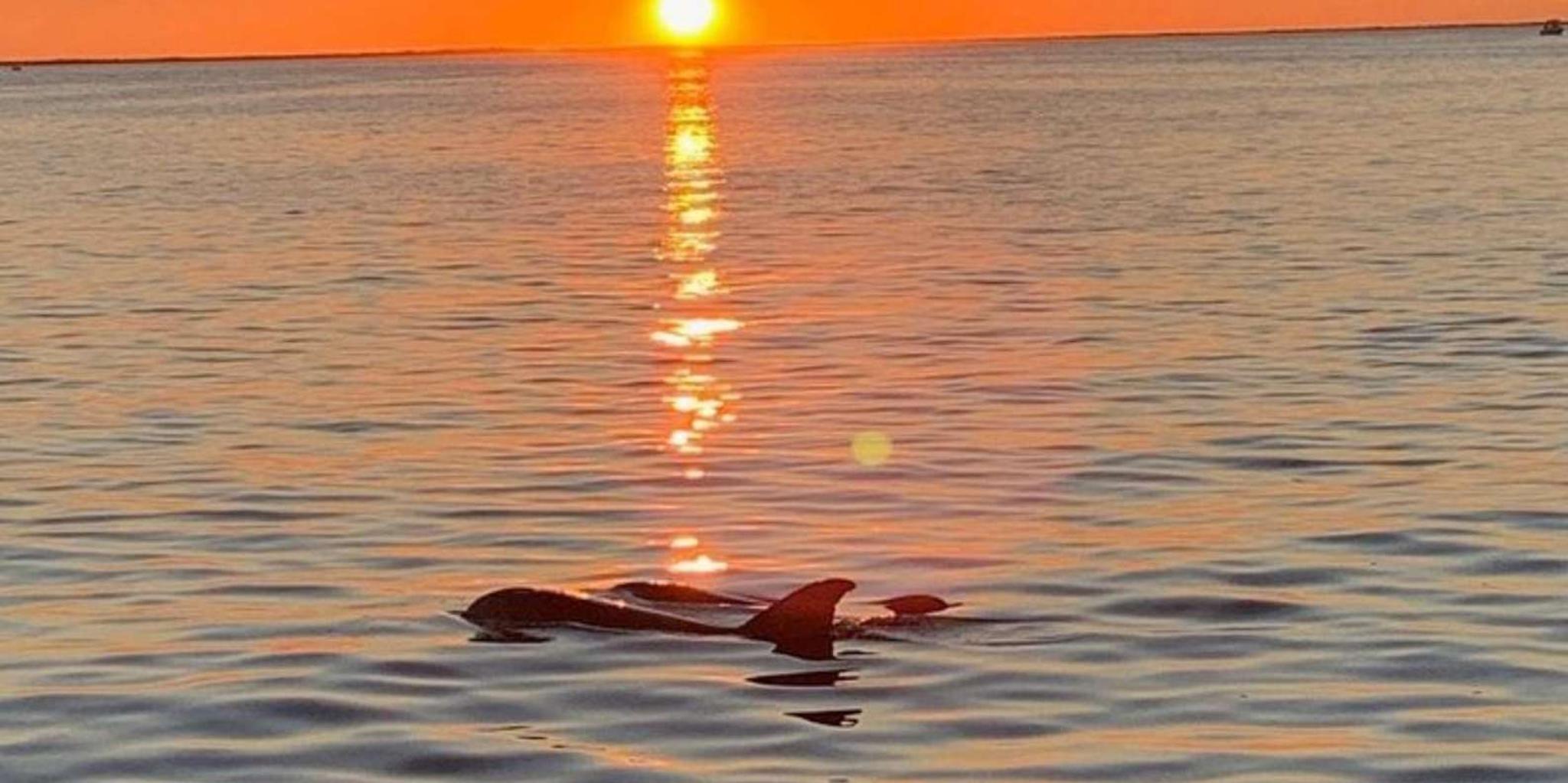 Key Largo Sunset Cruise - Image 3