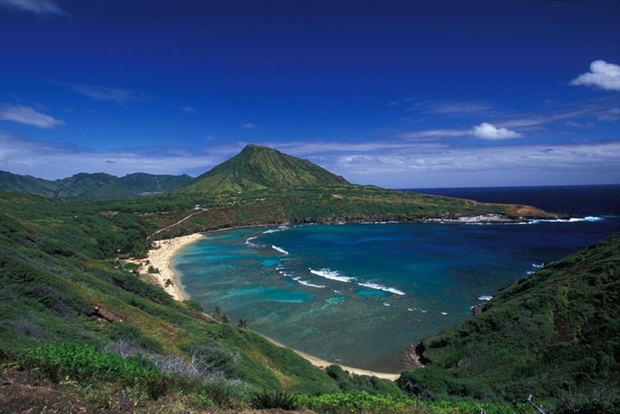 Oahu Private Island Tour: Waikiki, North Shore, Dole Plantation - Image 4