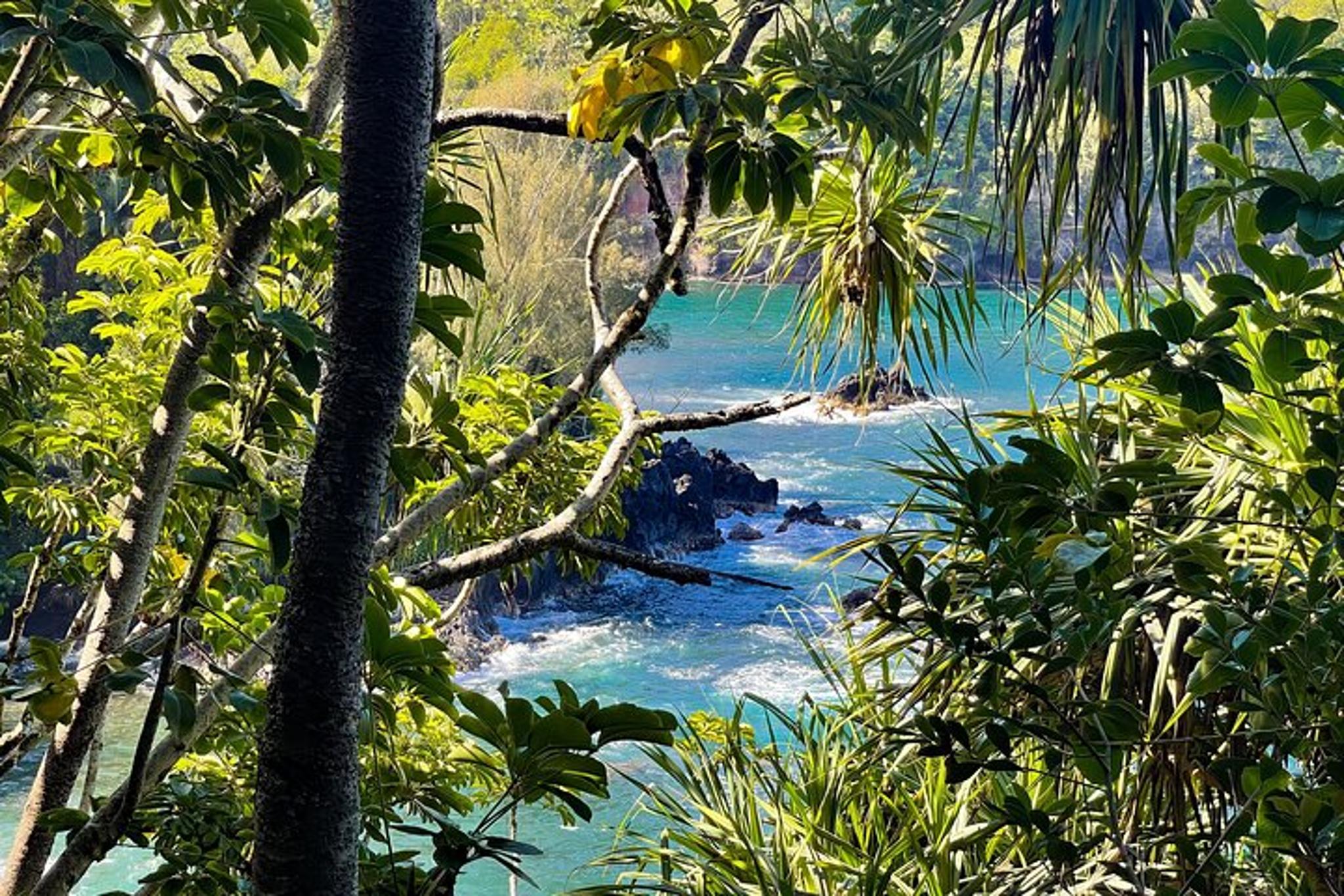 Big Island Custom Van Tour - Image 5