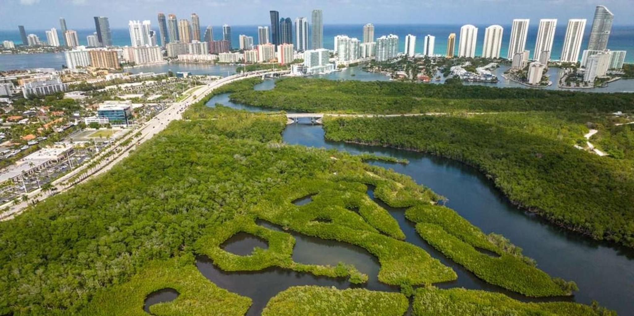 Miami Clear Kayak Eco Tour - Image 3