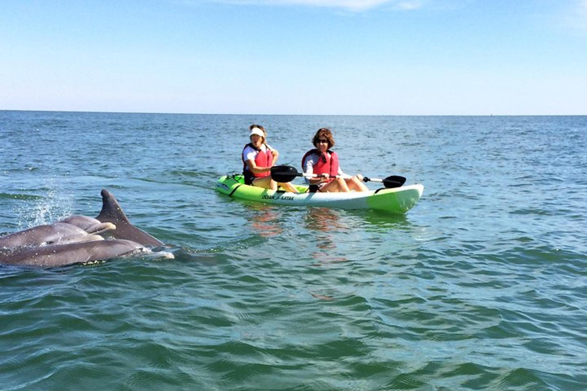 Virginia Beach Dolphin Kayak Eco-Tour 2 hr - Image 2