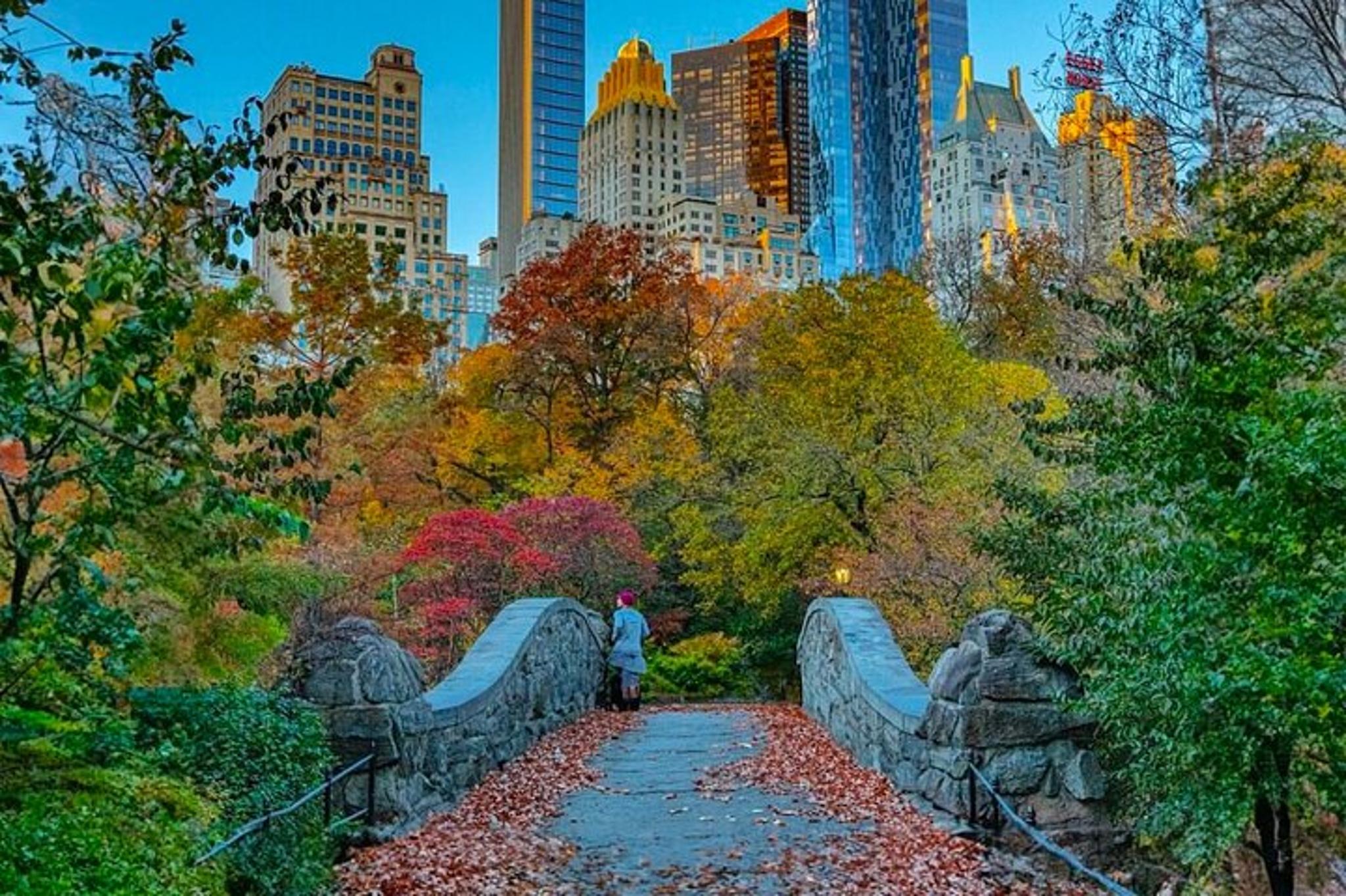 New York City Central Park Pedicab Tour - Image 6