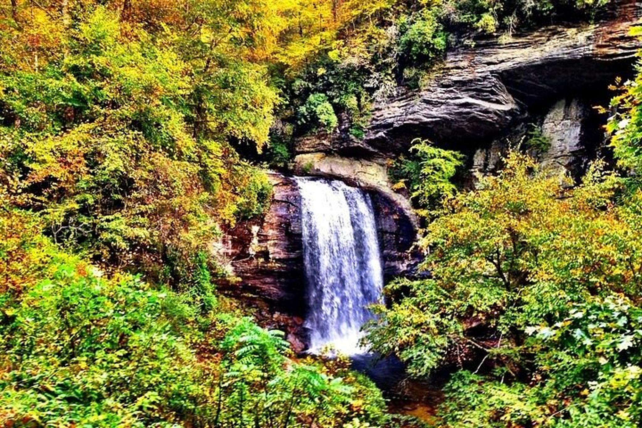 Asheville Rainforest and Waterfall Tour - Image 2