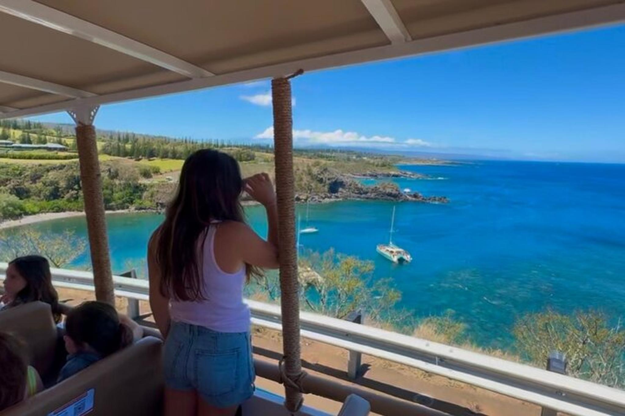 Maui Open-Air Banyan Tree & Blowhole Tour - Image 4