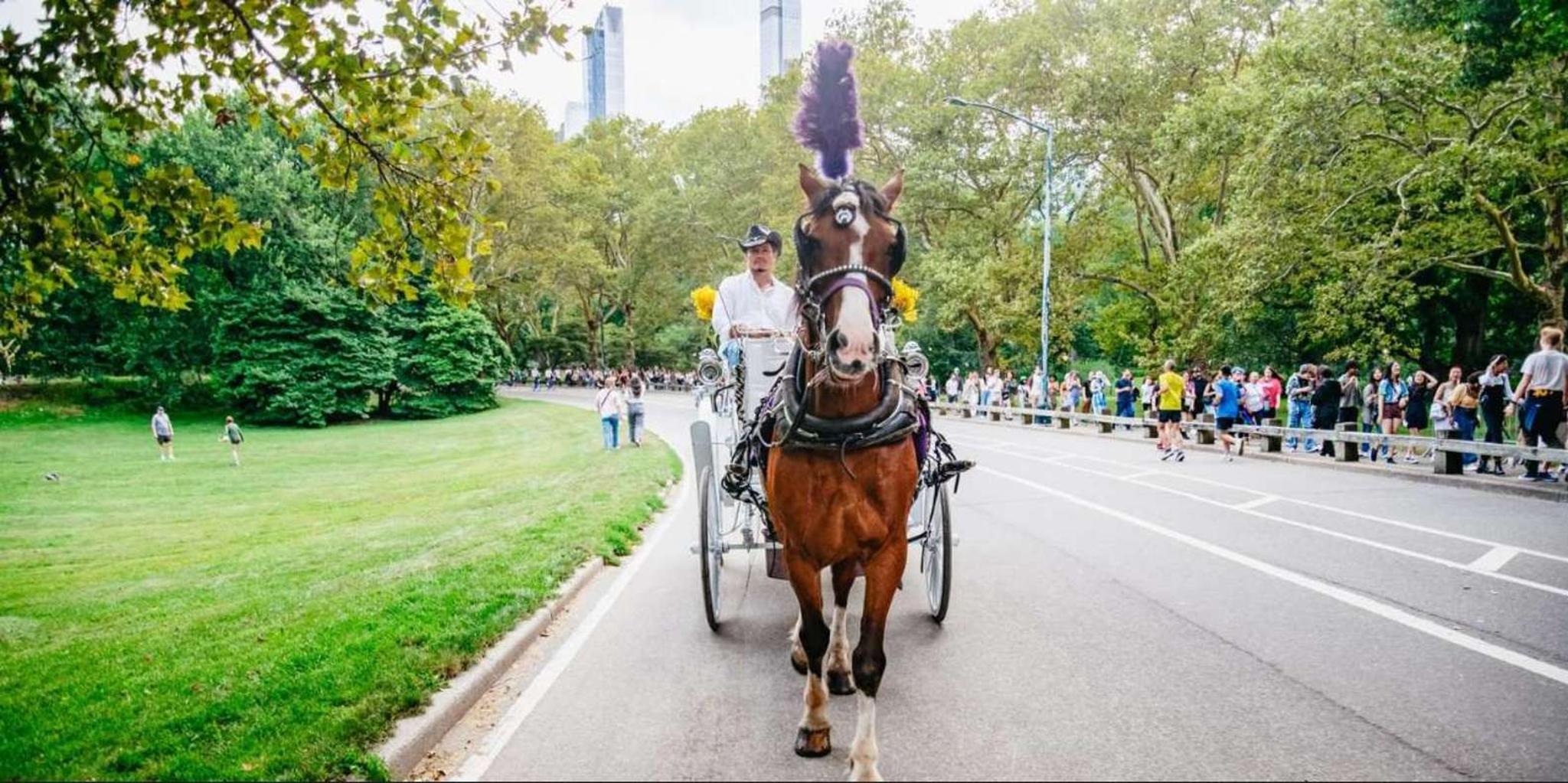 New York City Christmas Lights Horse Carriage Ride - Image 6