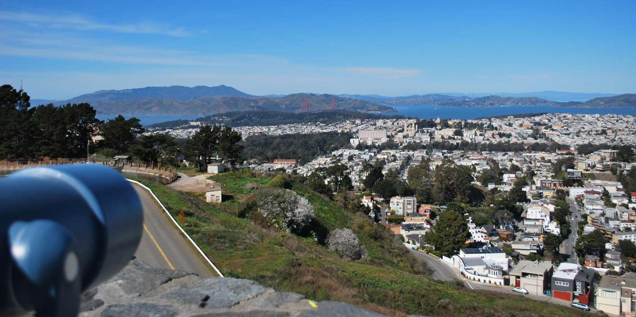 San Francisco City Tour with Muir Woods and Sausalito - Image 5