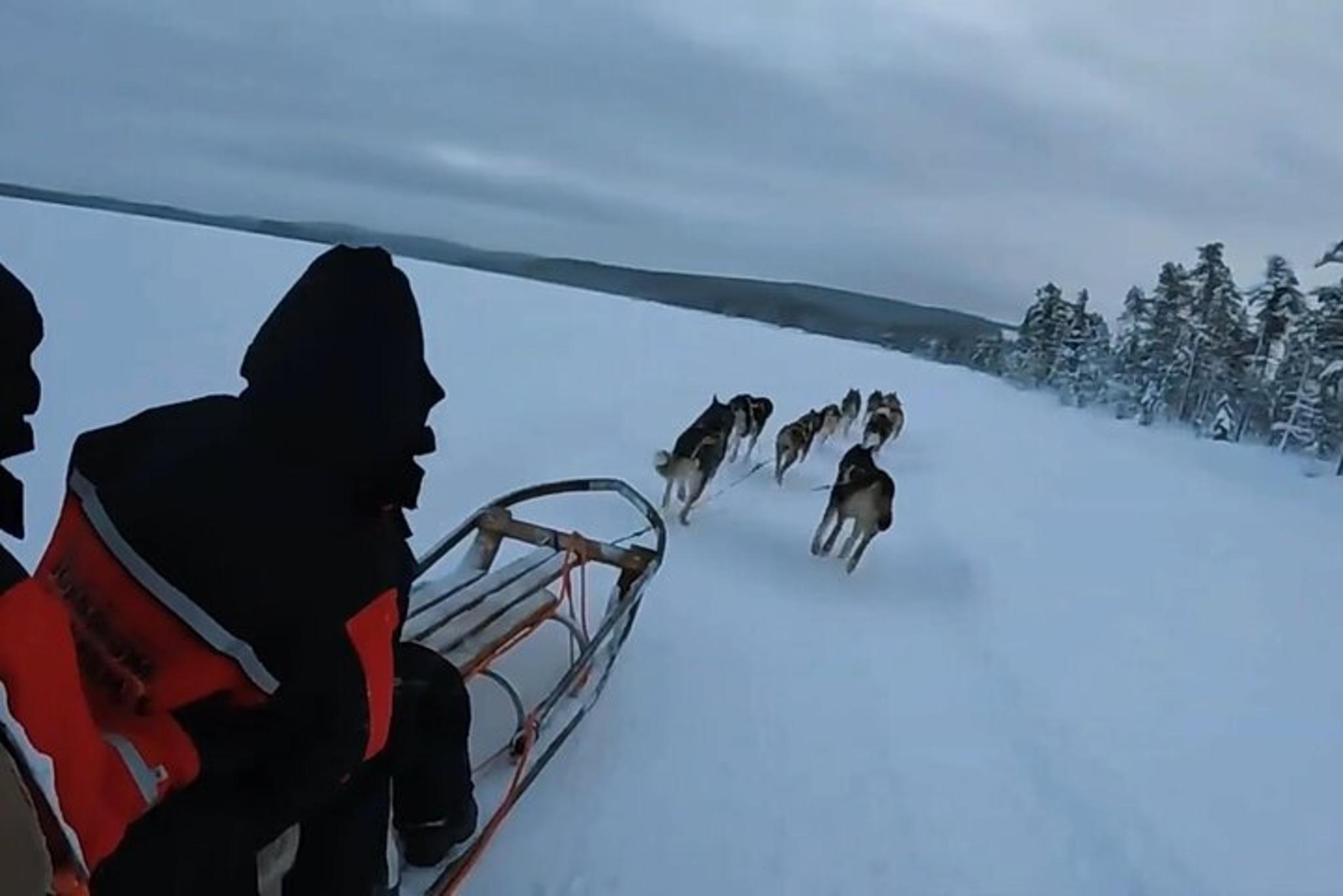 Fairbanks Dog Sled and ATV Adventure