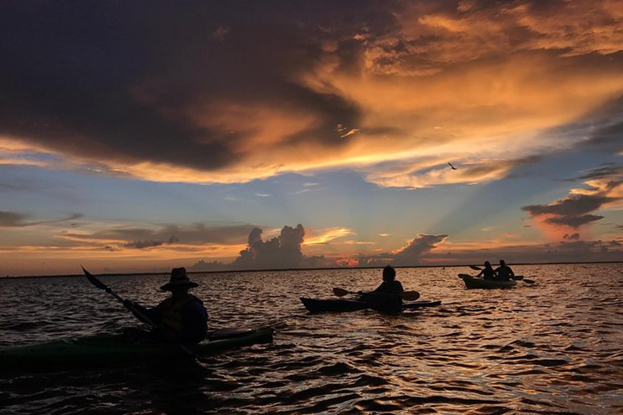 Florida Bioluminescence Kayak Tour at Sunset - Image 2