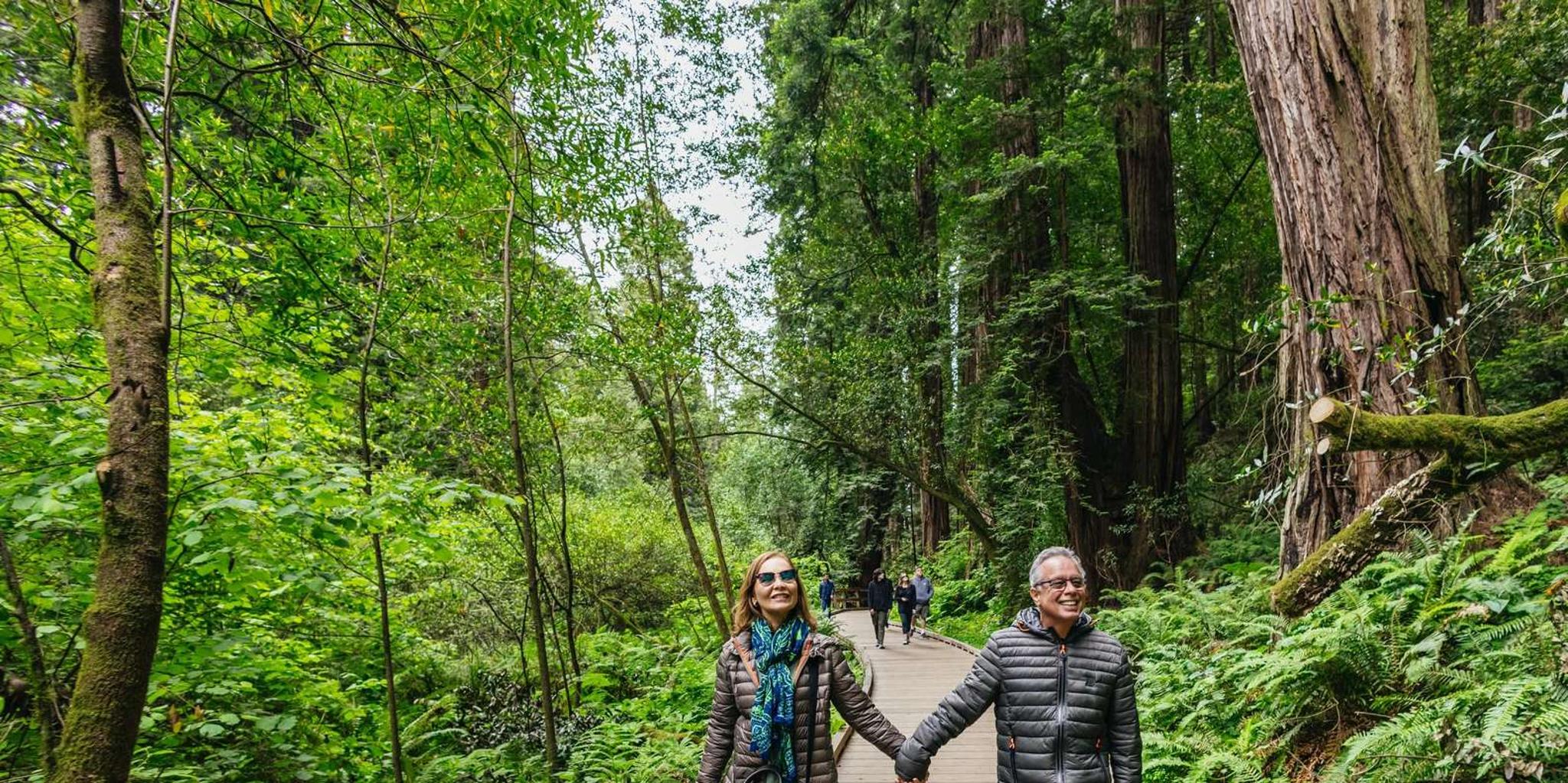 San Francisco Muir Woods and Sausalito Tour - Image 2