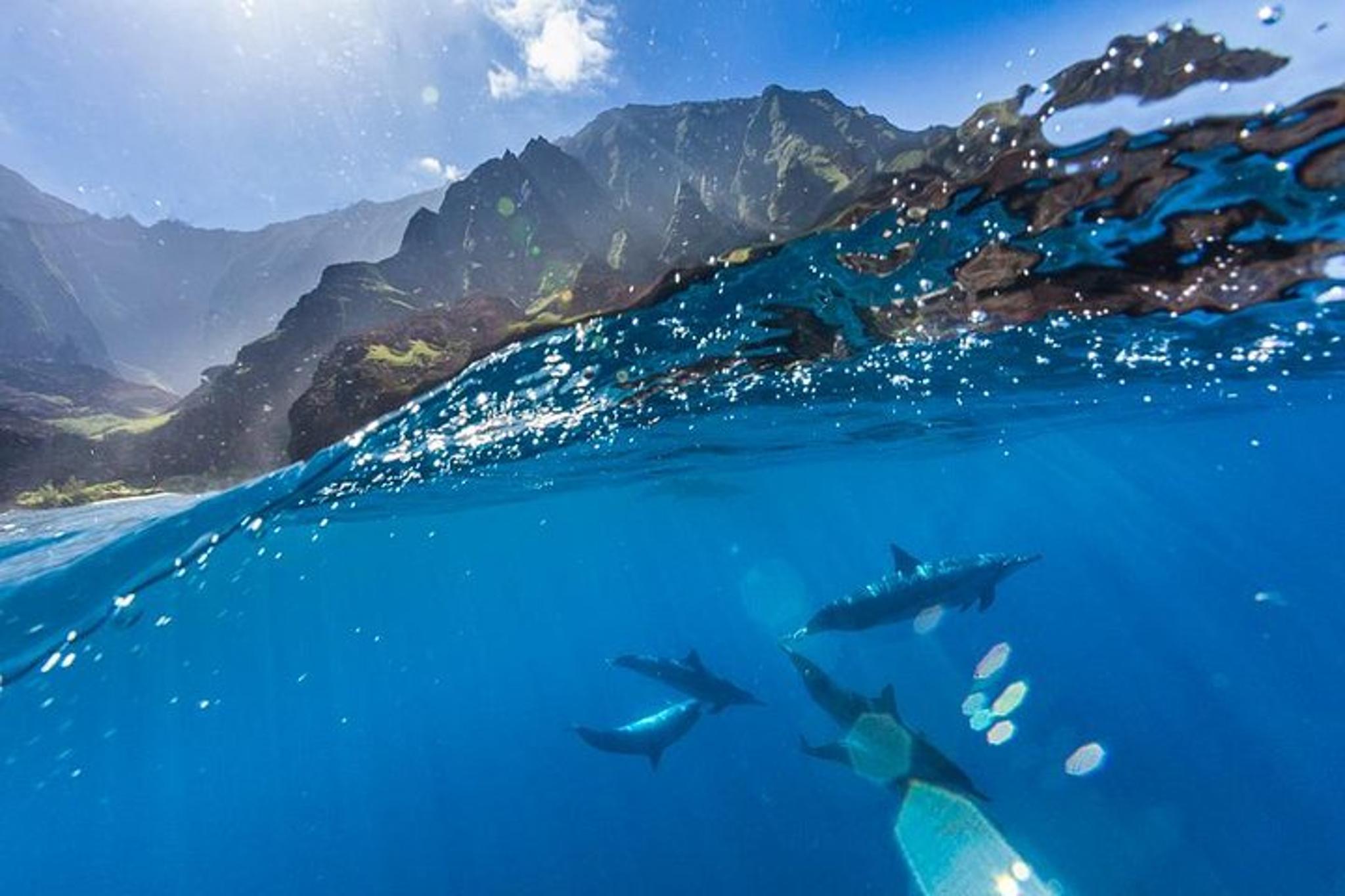 Kauai Na Pali Coast Sea Kayaking Adventure - Image 4