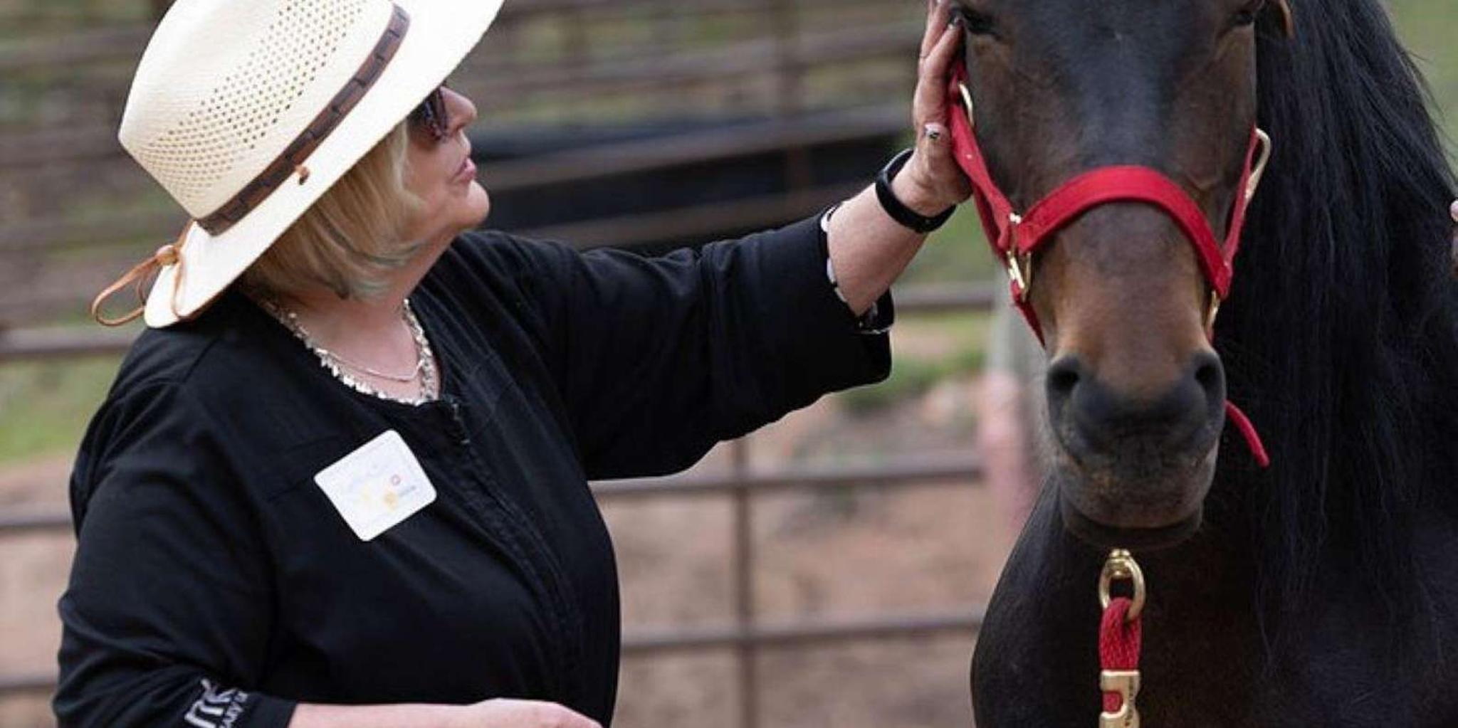 Colorado Springs Mindfulness with Rescue Mustangs