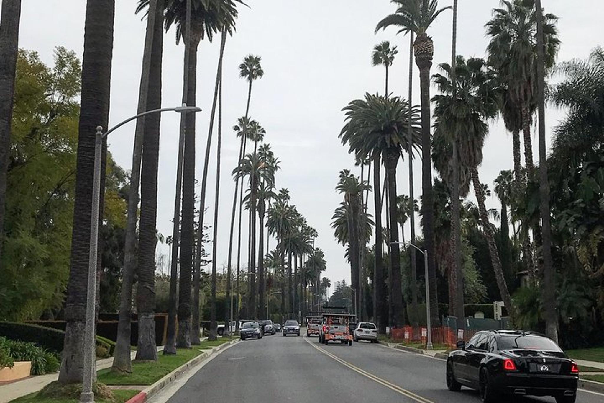 Los Angeles Sightseeing Tour of Hollywood and Beverly Hills 3.5 hr - Image 4