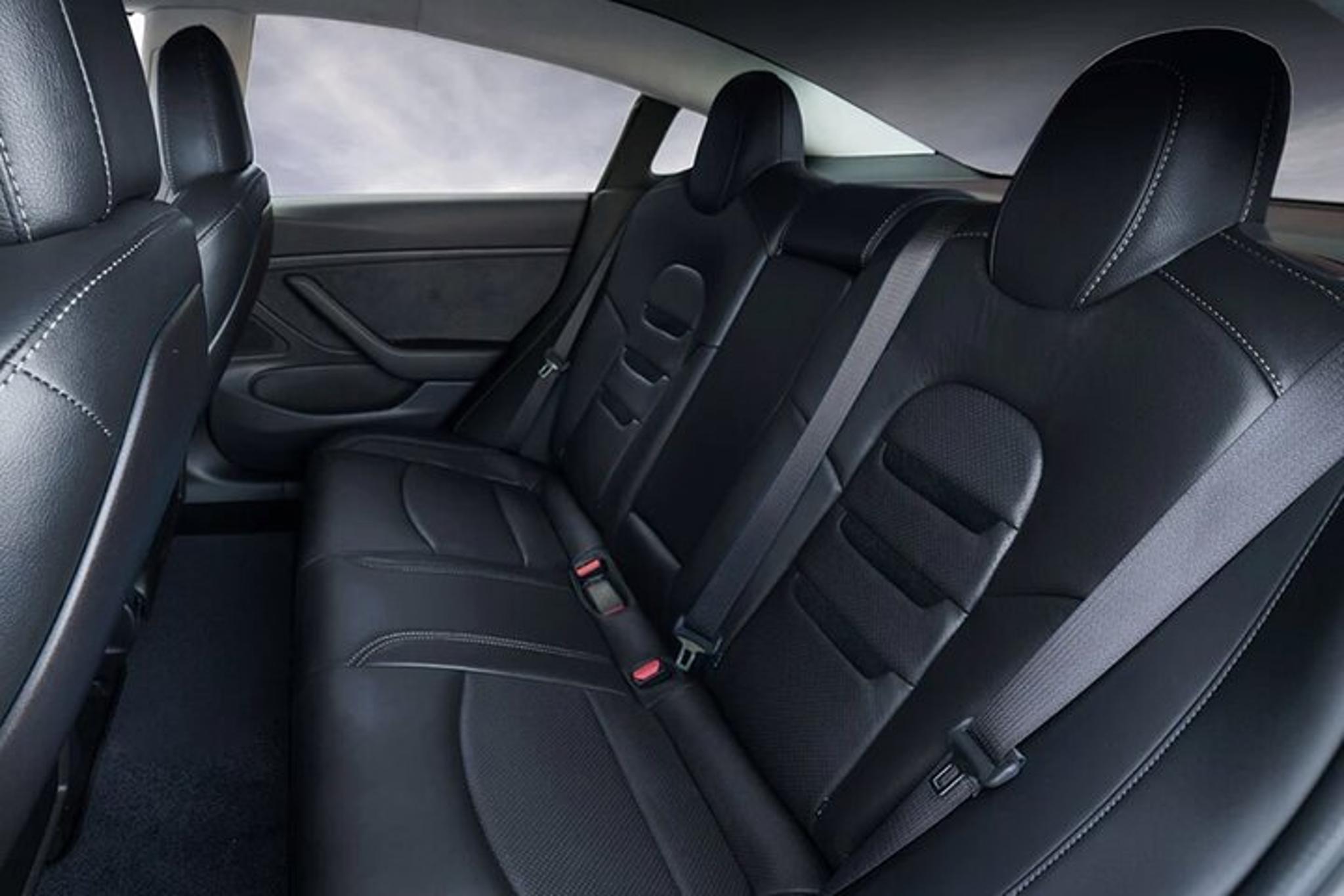 Phoenix Tesla Transfer from Airport to Hotels - Image 4