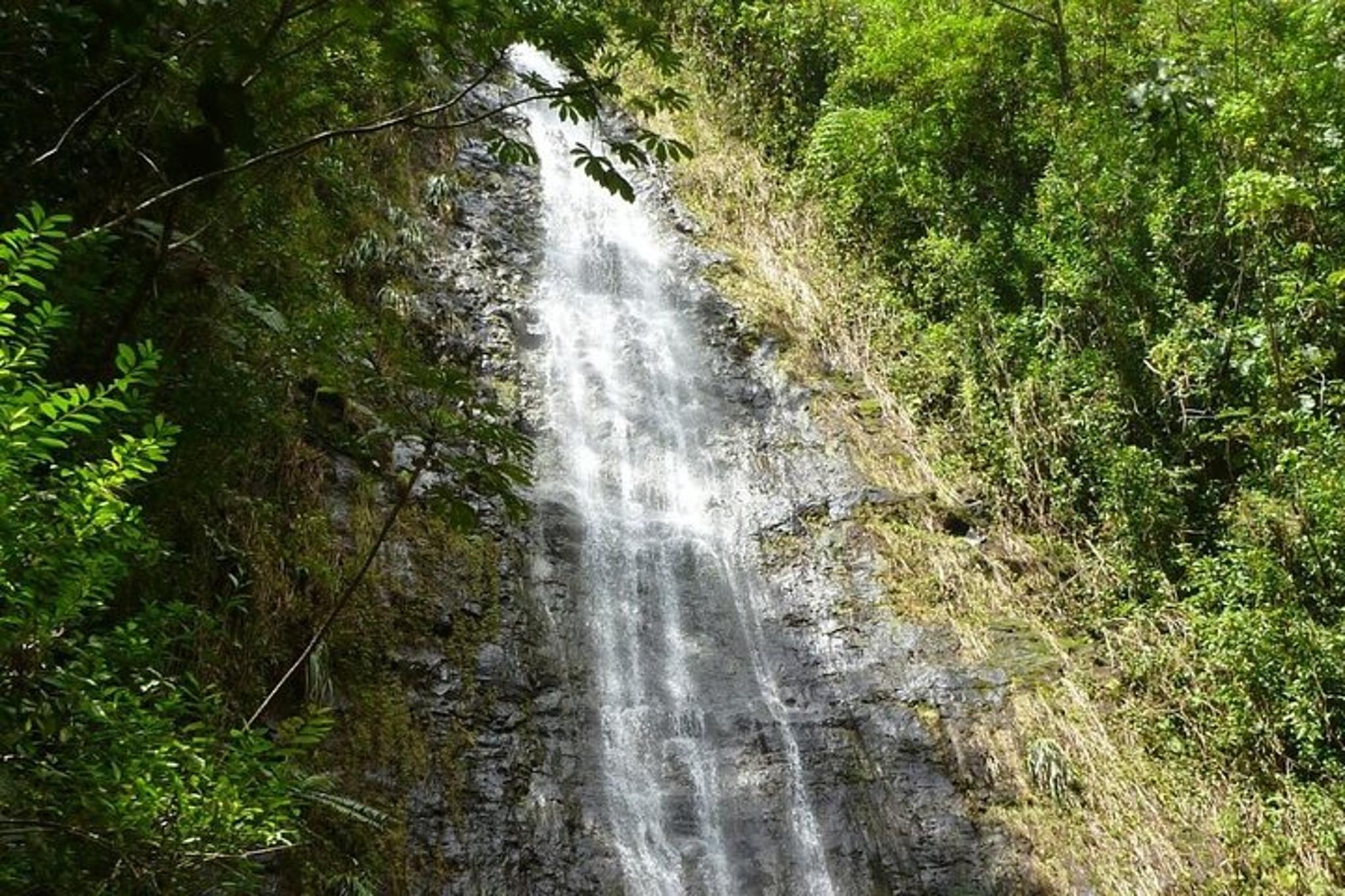 Honolulu Hiking Adventure: Diamond Head & Manoa Falls - Image 3