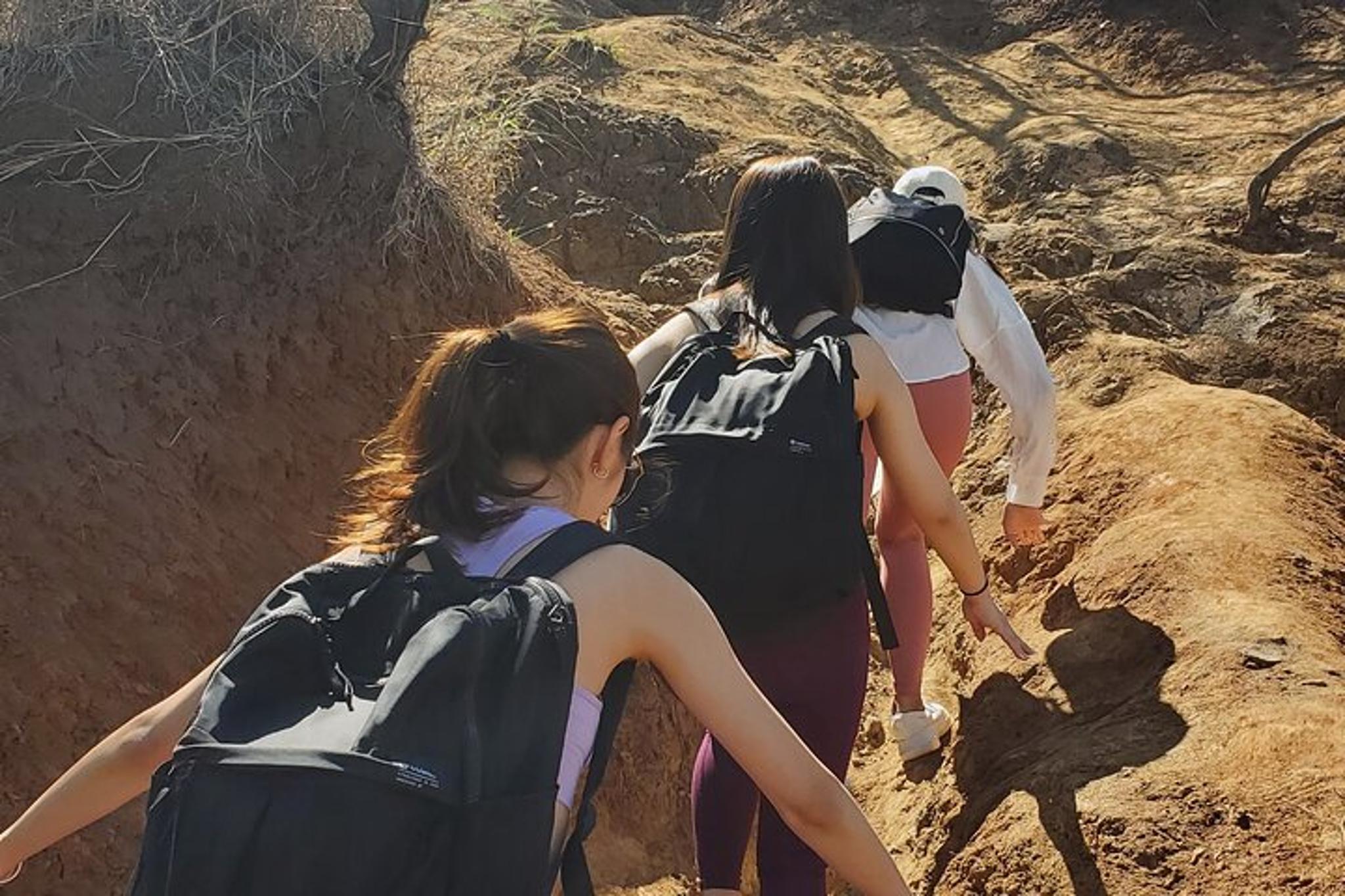 Kailua Lanikai Pillbox Hike and Beach Excursion - Image 3