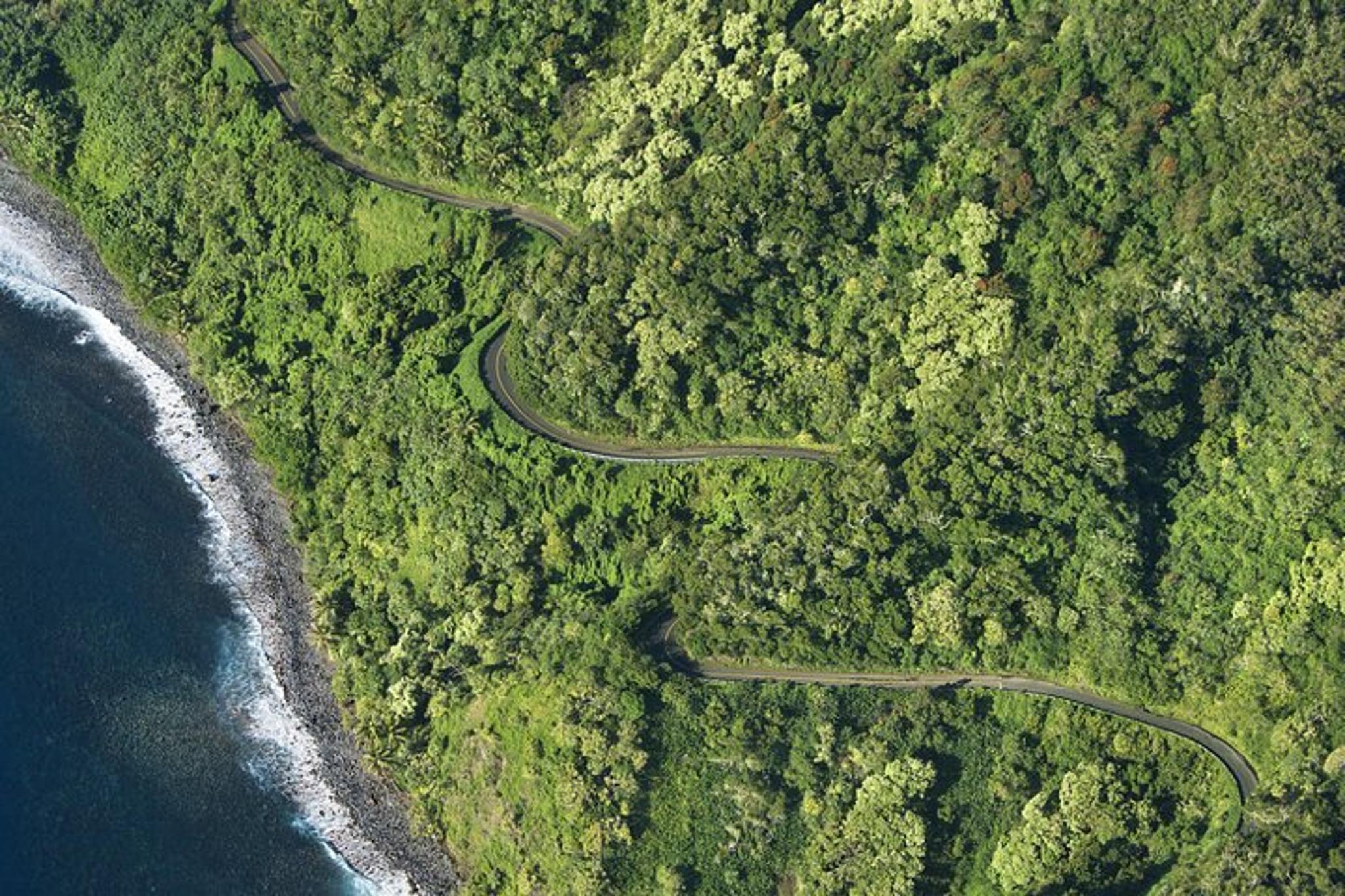 Maui Road to Hana Tour - Image 4