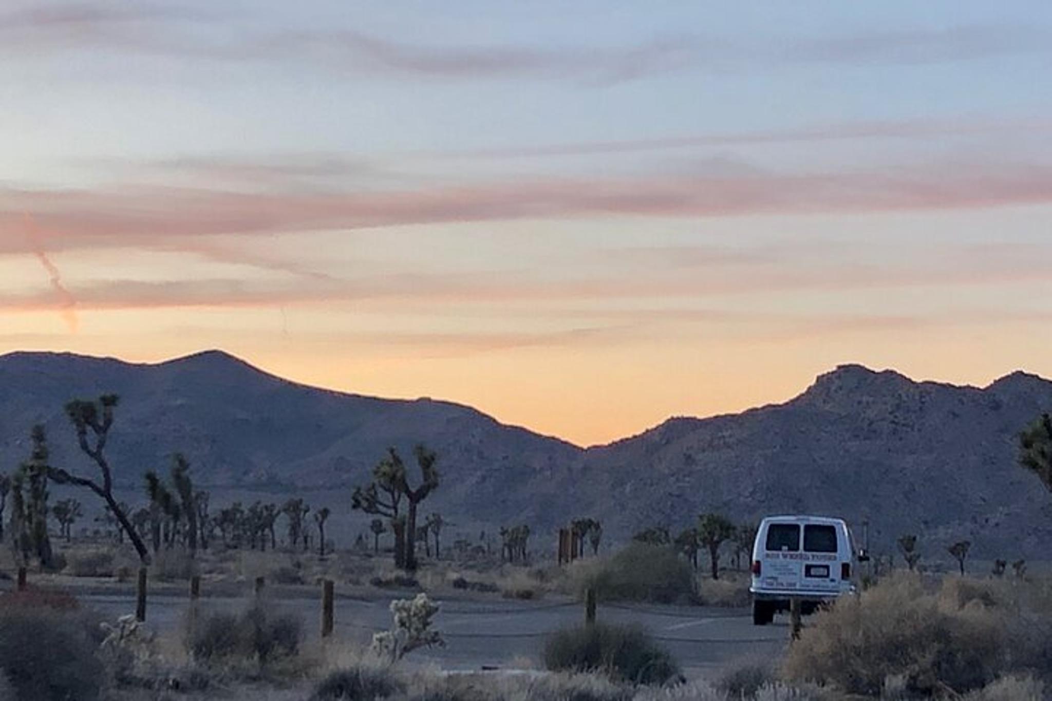 Joshua Tree National Park Driving Tour - Image 3