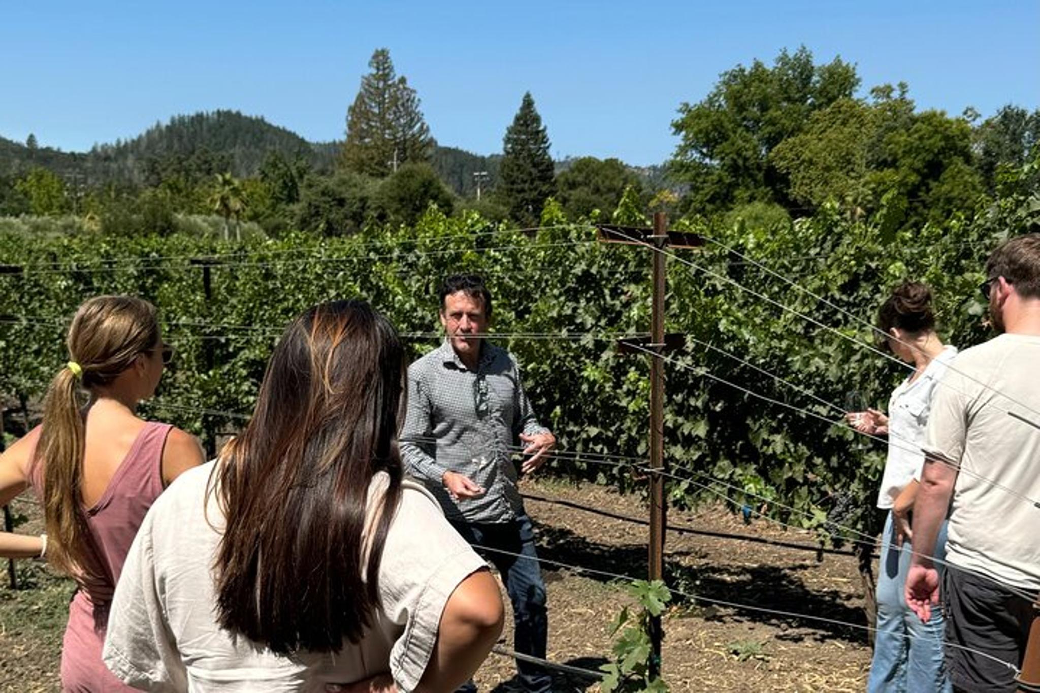 Napa Valley Cycling Tour with a Winemaker - Image 5