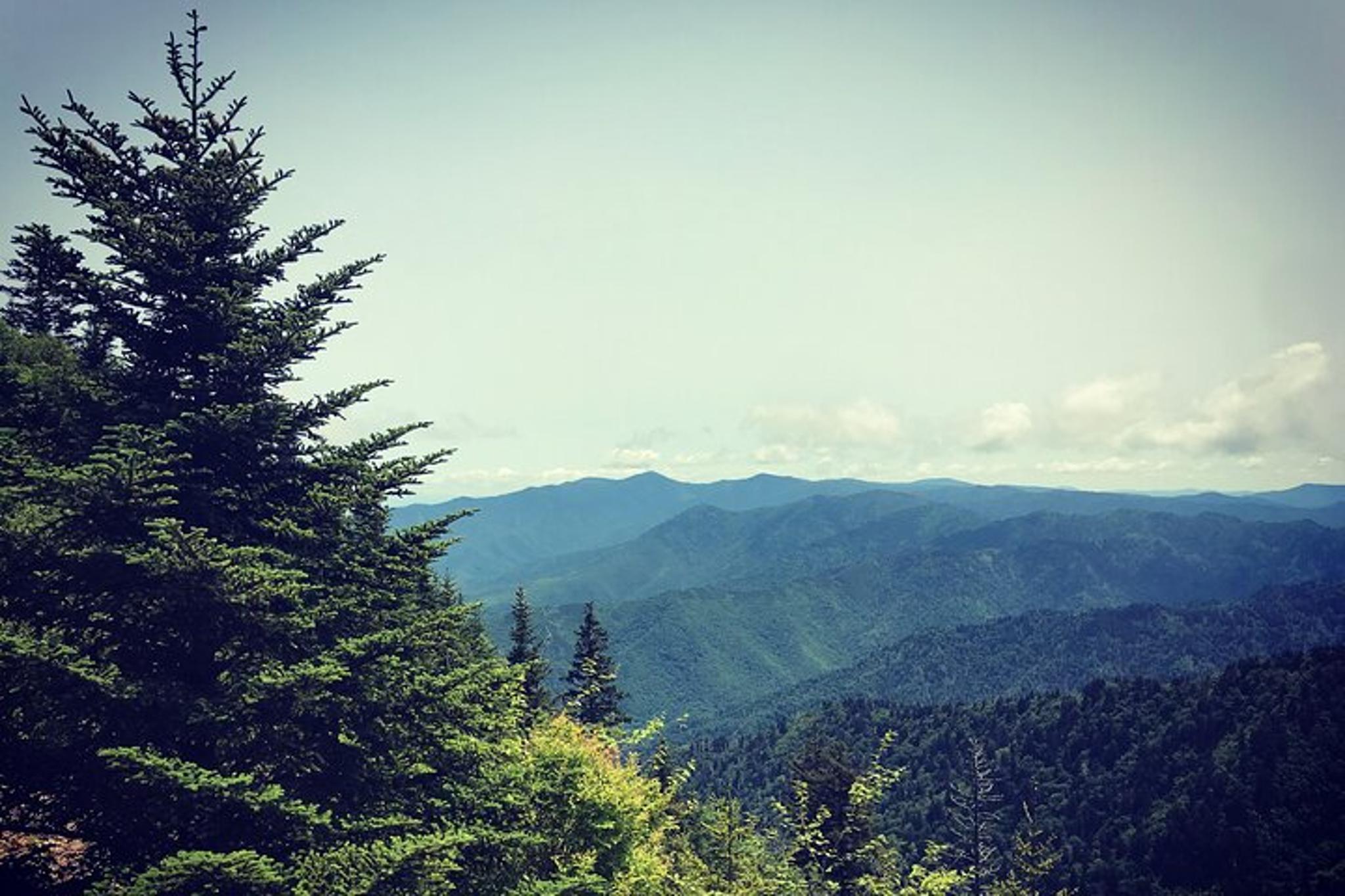 Clingmans Dome Hike - Image 3