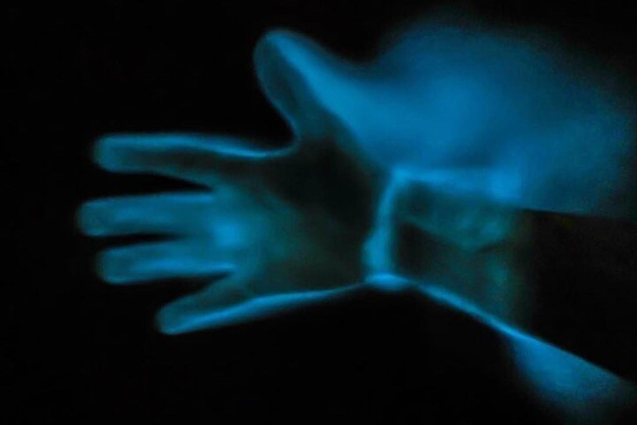 Kiwanis Island Bioluminescence Kayak Tour - Image 6