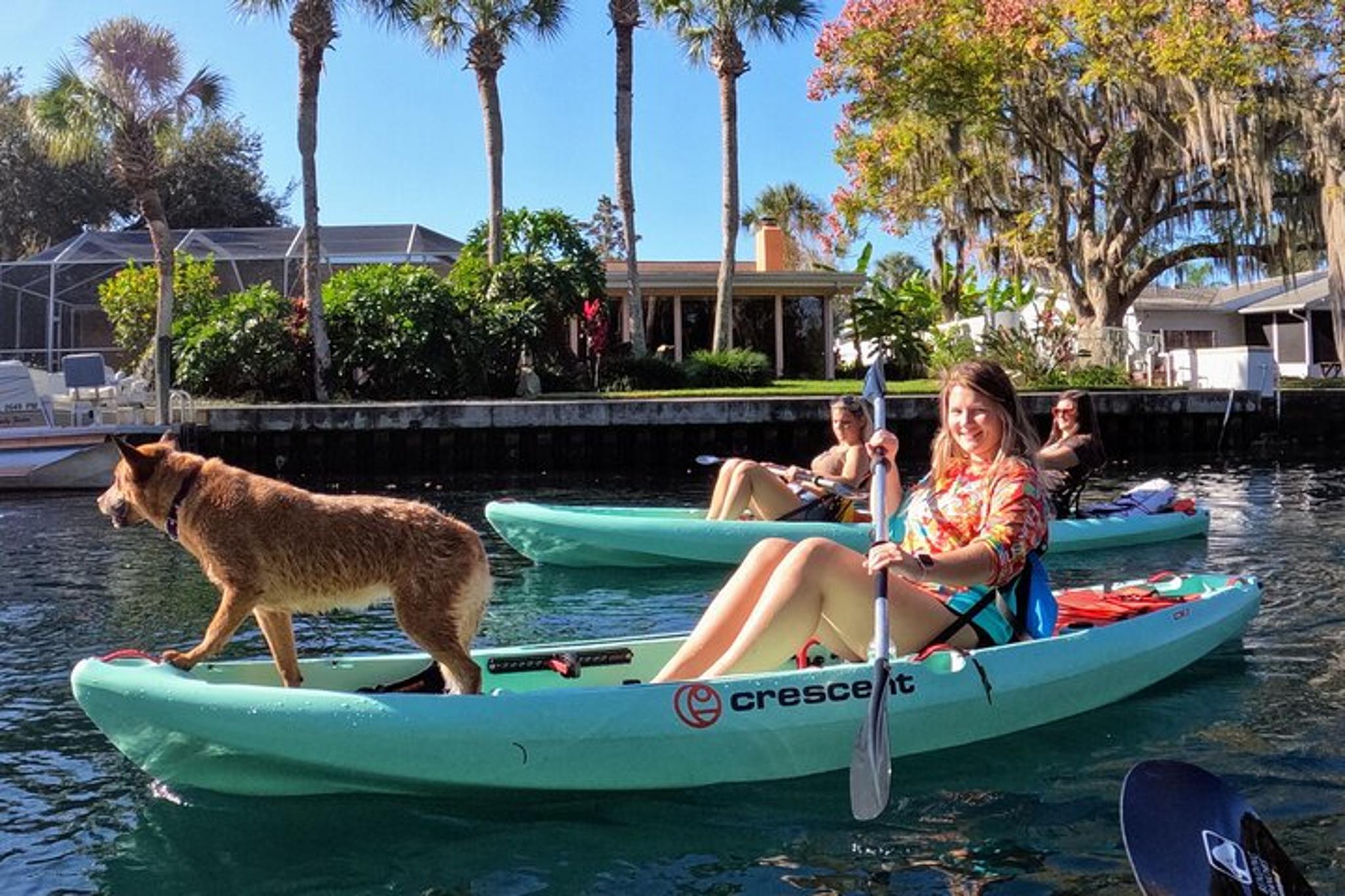 Crystal River Double Kayak Rental - Image 5